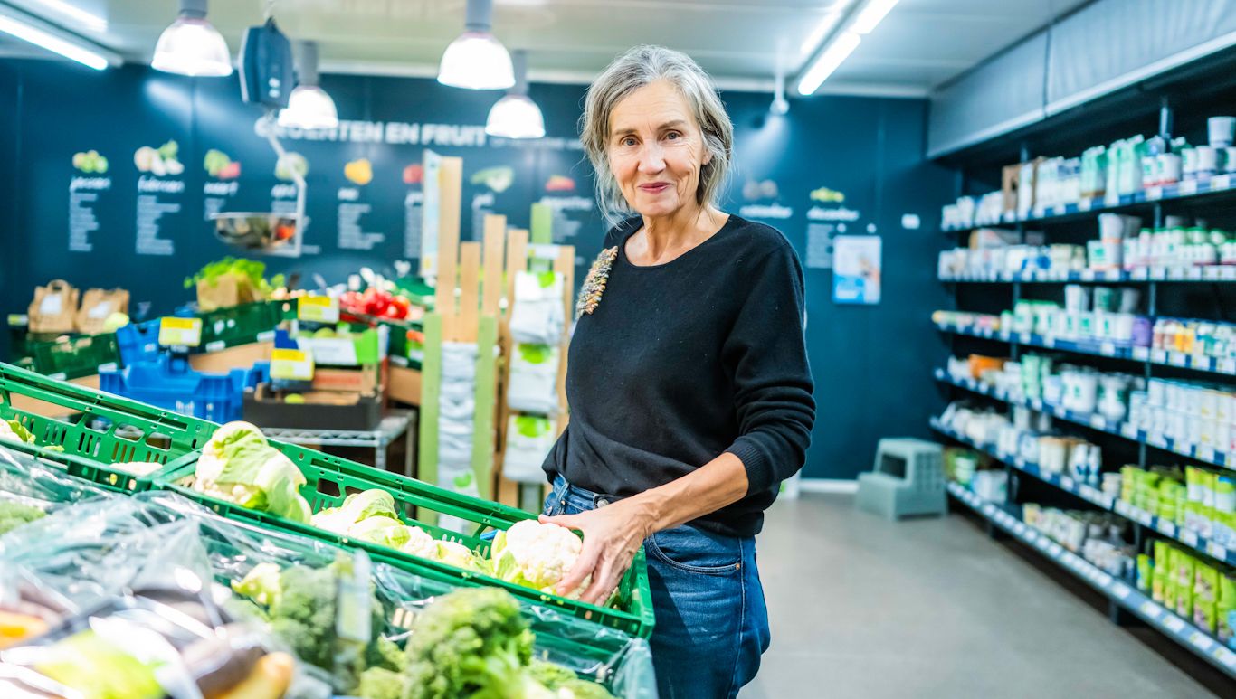 Afbeelding van het artikel