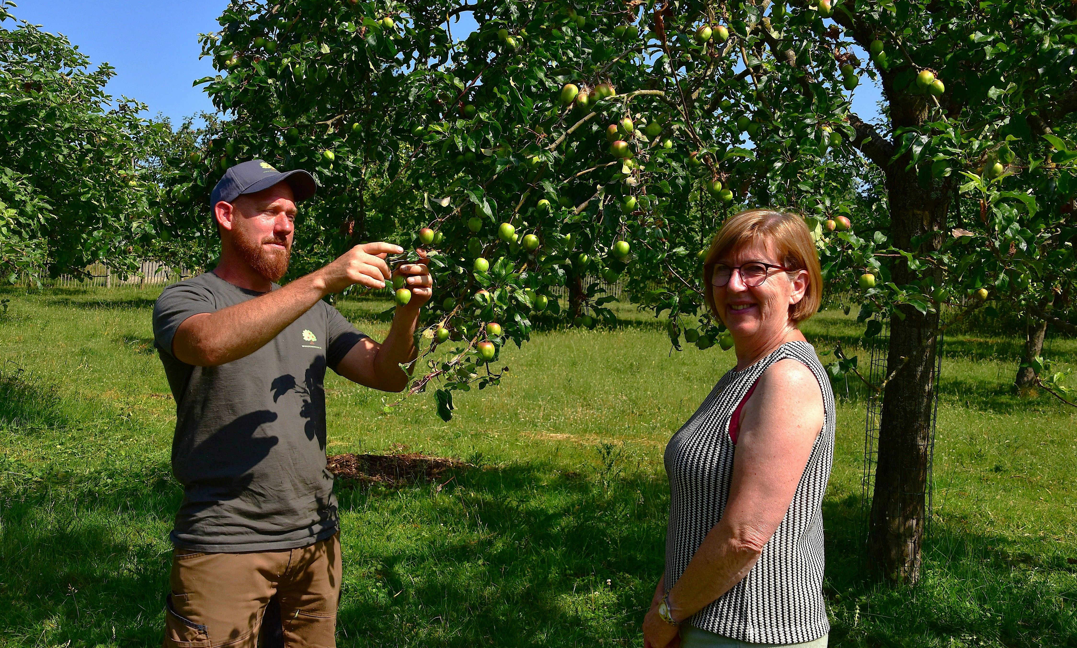 Afbeelding van het artikel