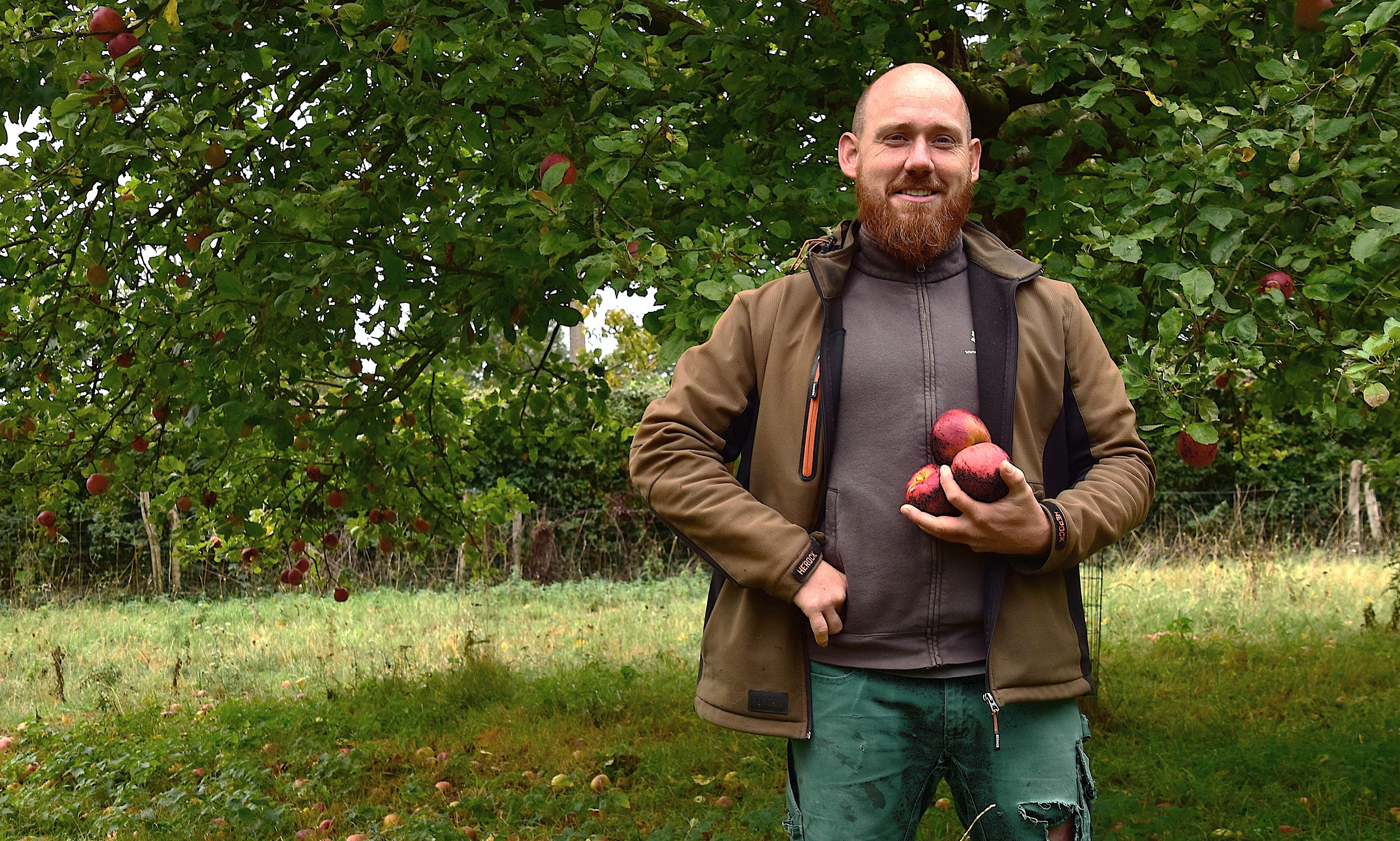 Afbeelding van het artikel