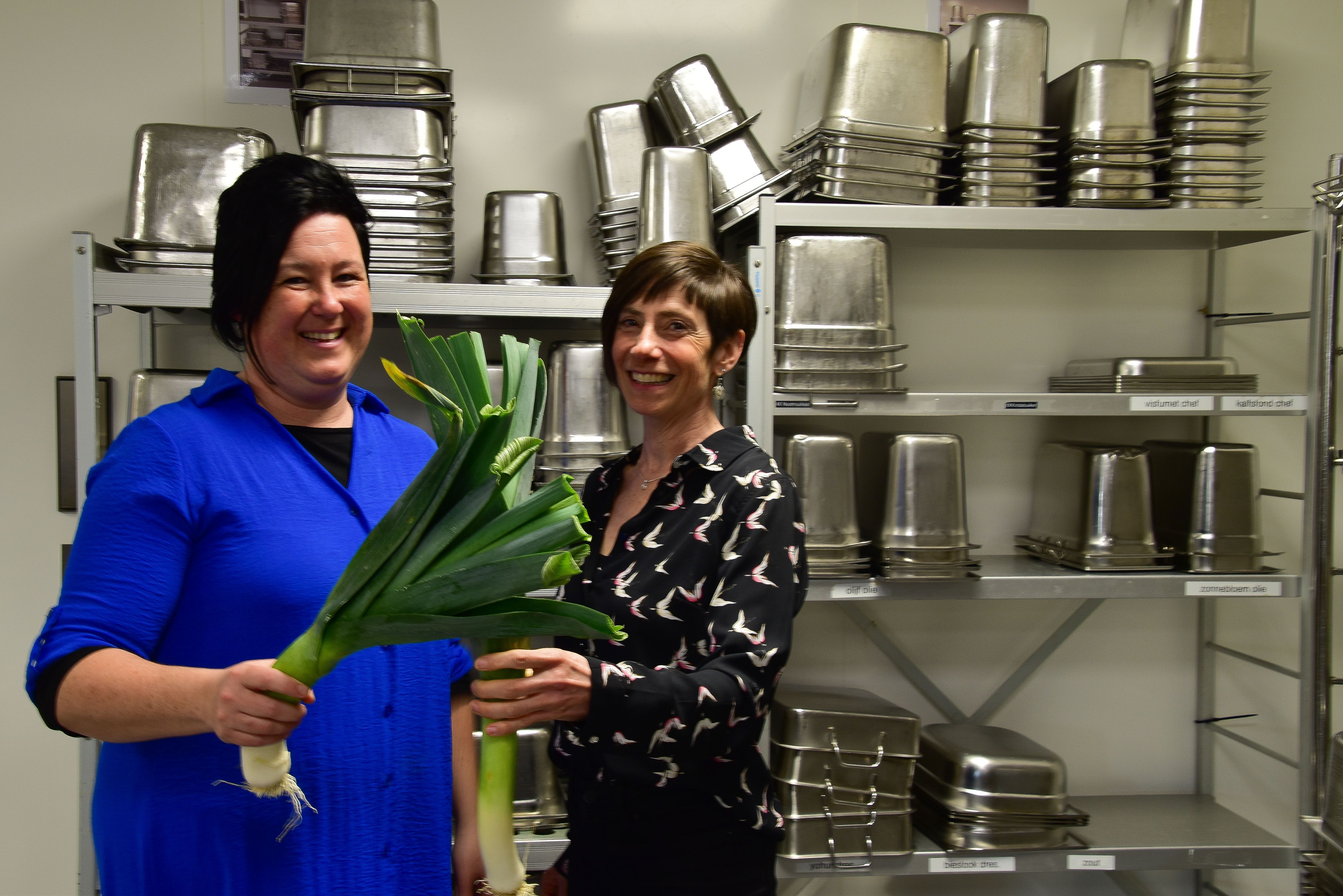 Hoofdafbeelding van het gerelateerde artikel