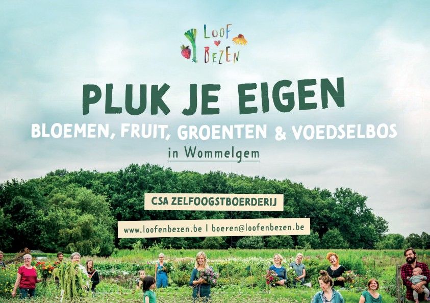 Hoofdafbeelding van de activiteit