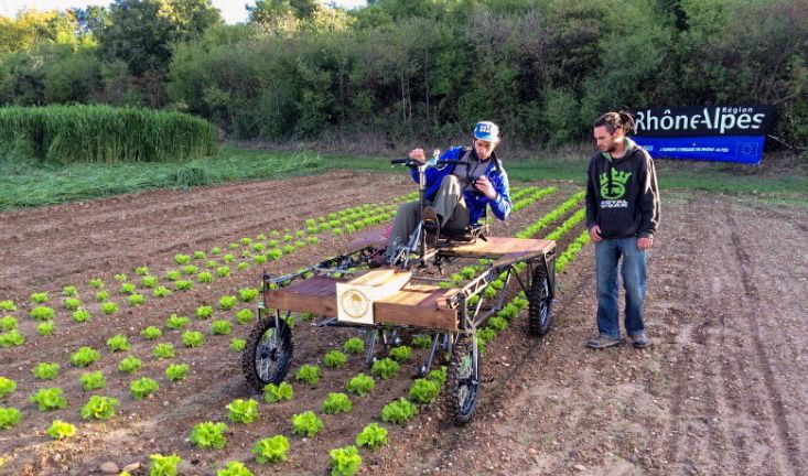 Hoofdafbeelding van het artikel