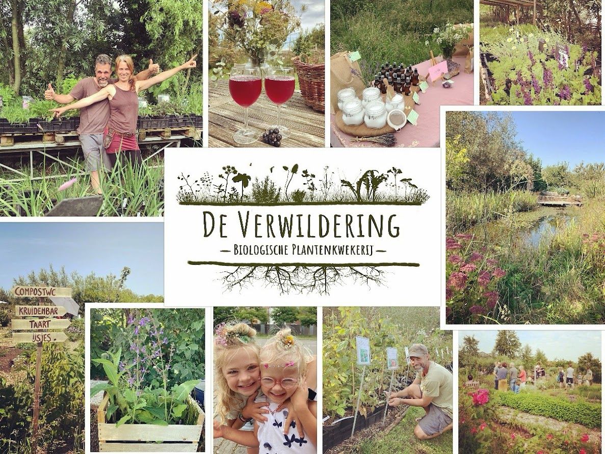 Hoofdafbeelding van de activiteit