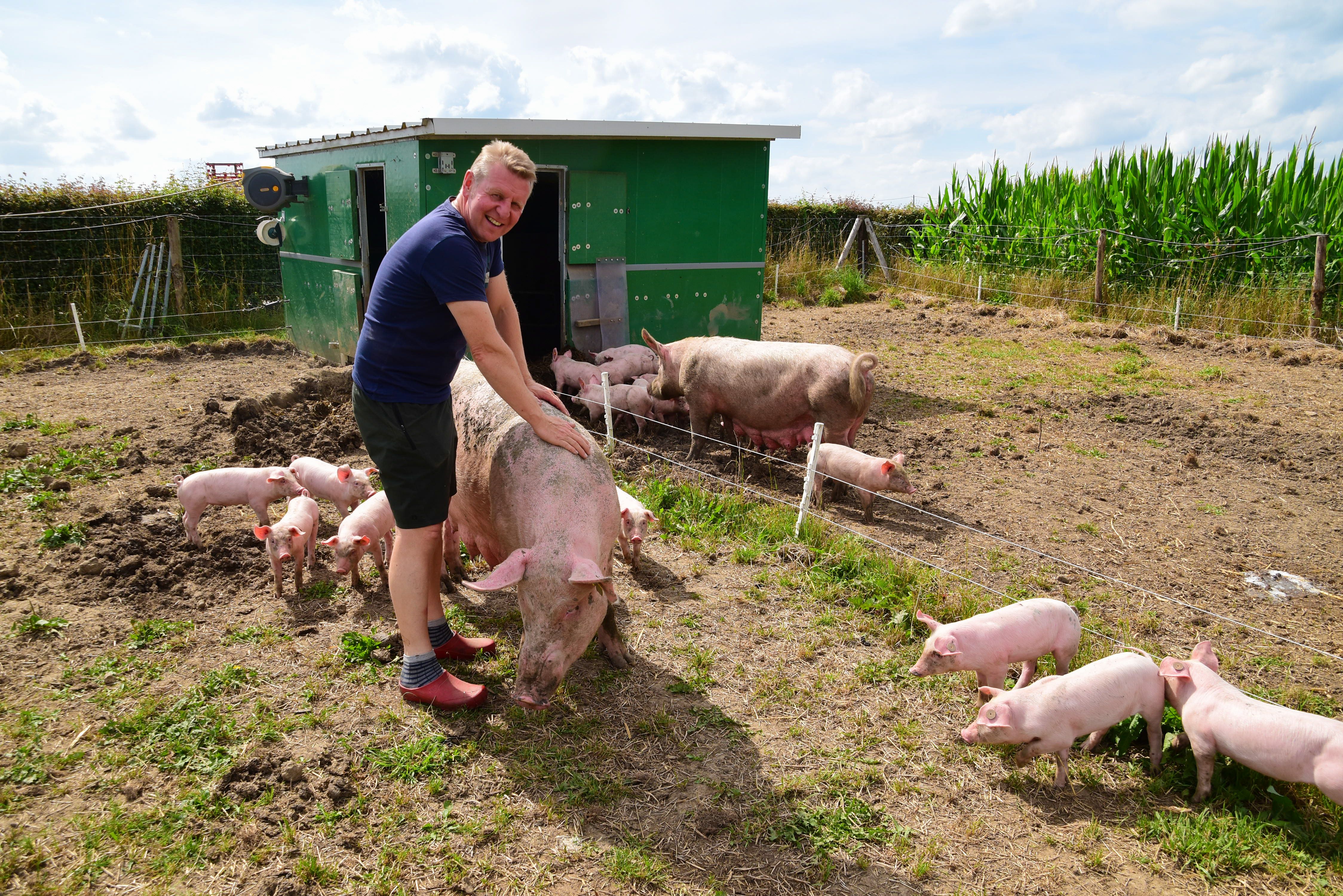 Afbeelding van het artikel