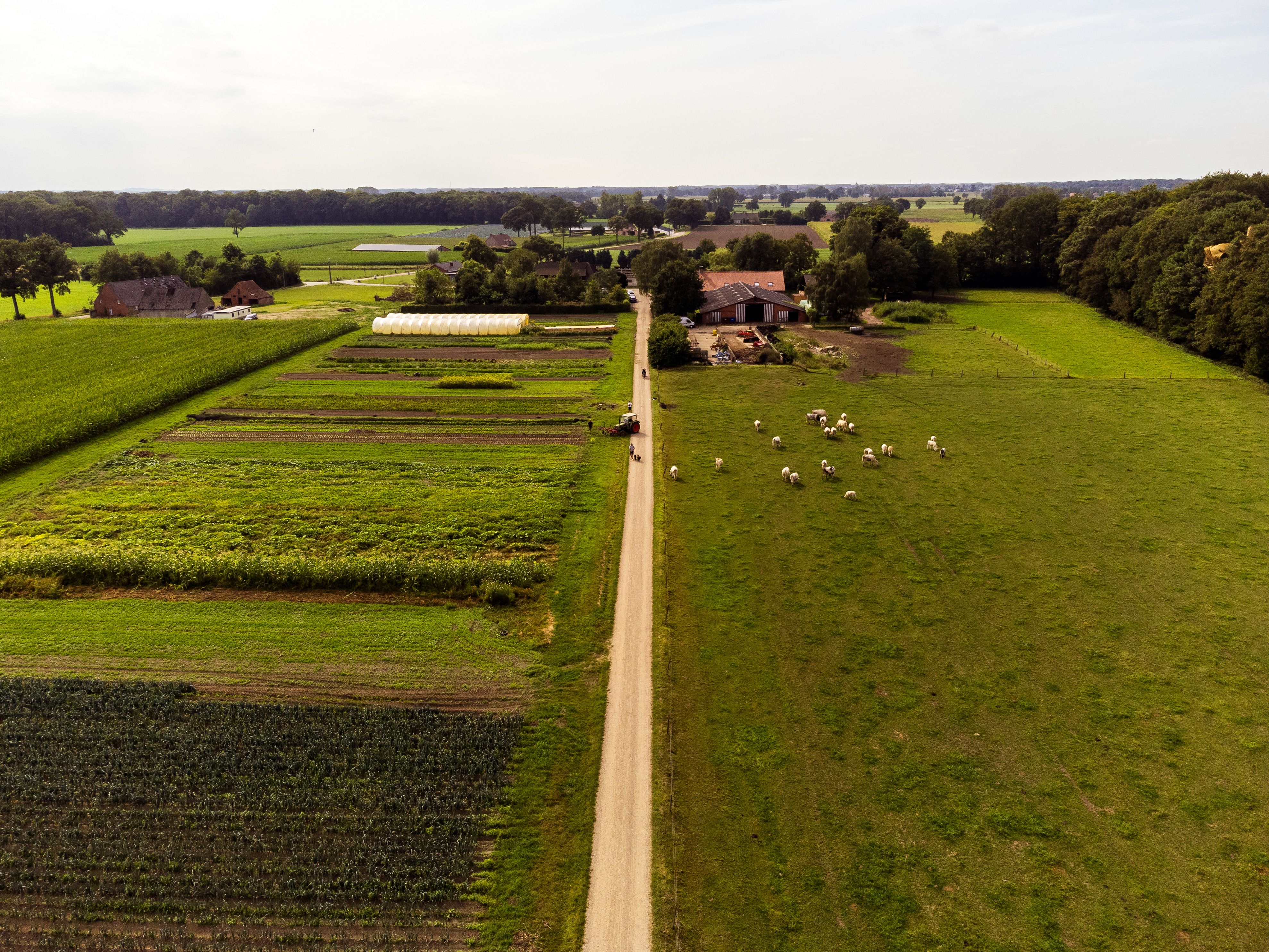 Hoofdafbeelding van de activiteit