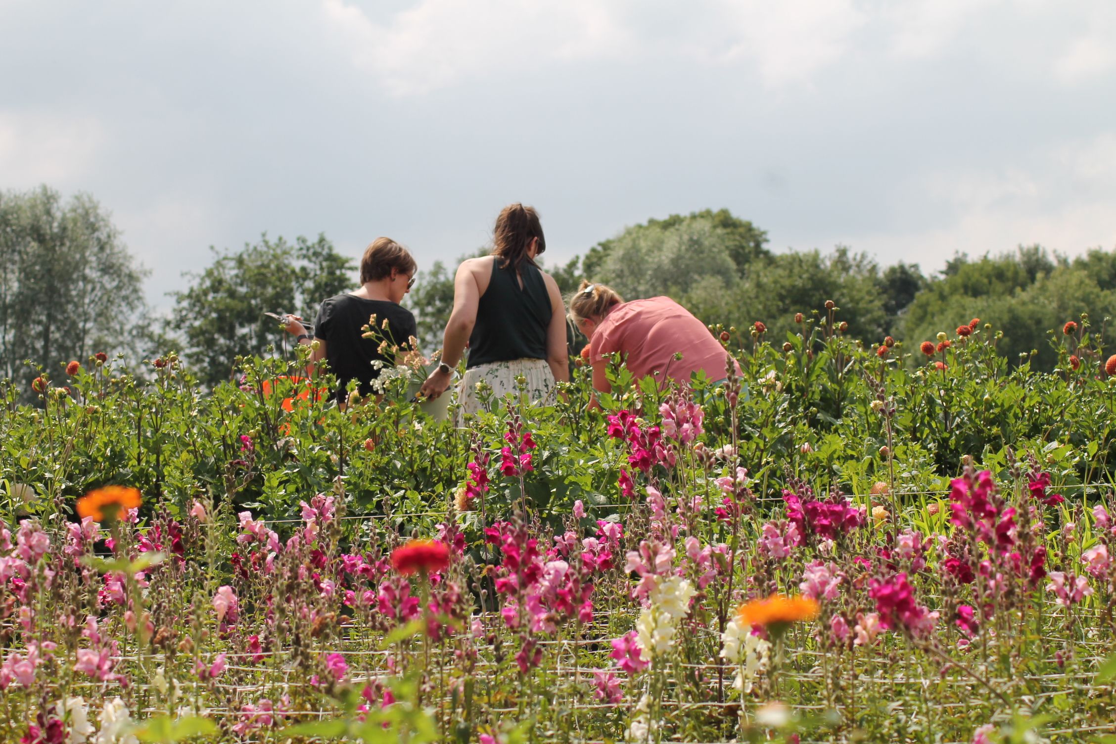 Hoofdafbeelding van de activiteit