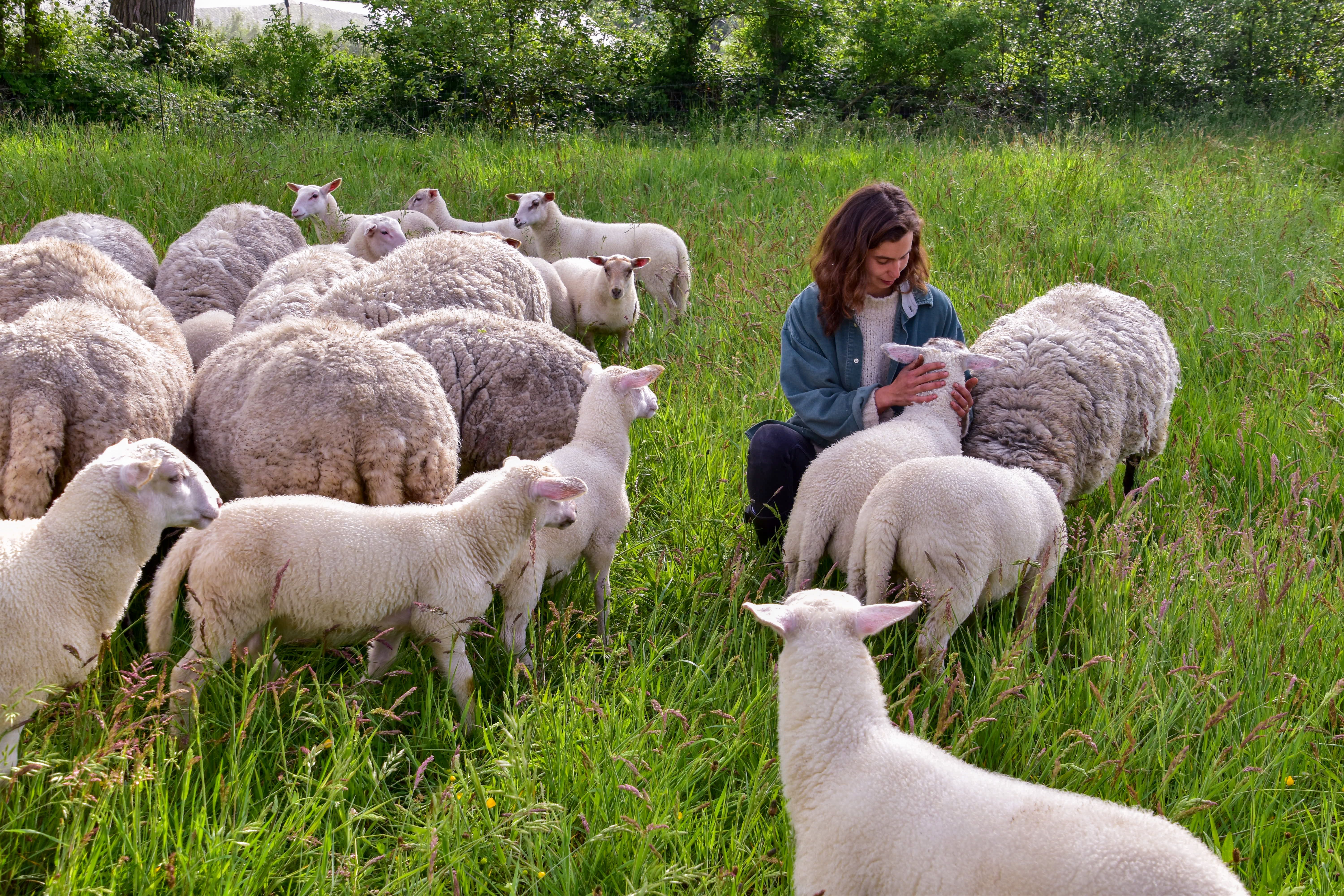 Hoofdafbeelding van het artikel