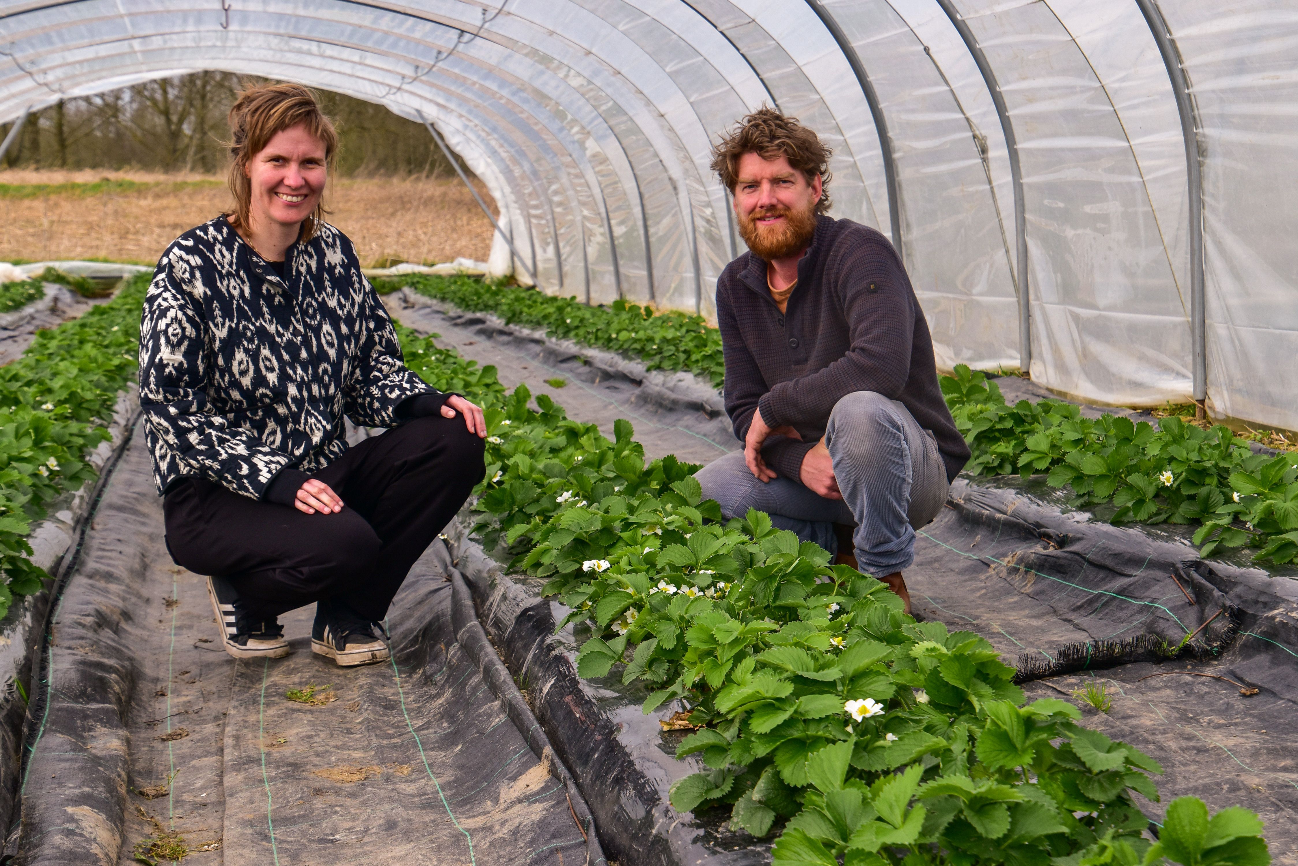 Afbeelding van het artikel