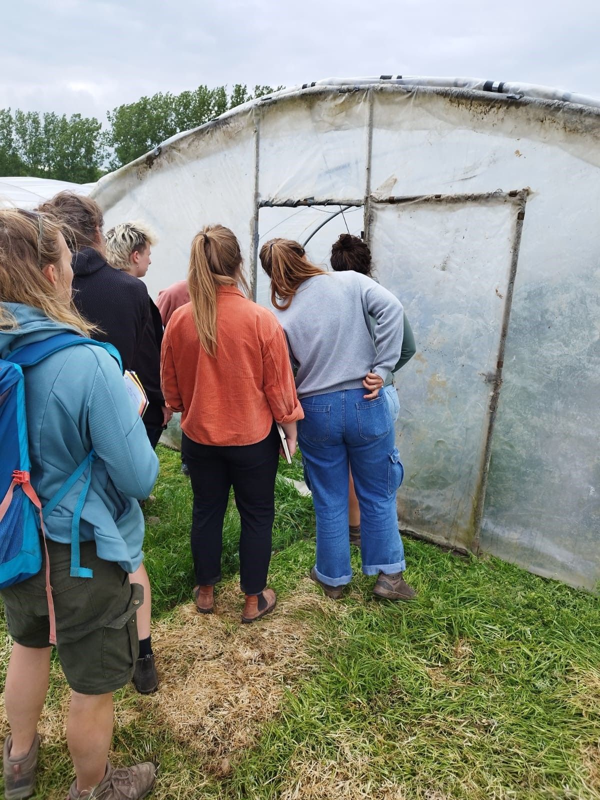 Hoofdafbeelding van de activiteit