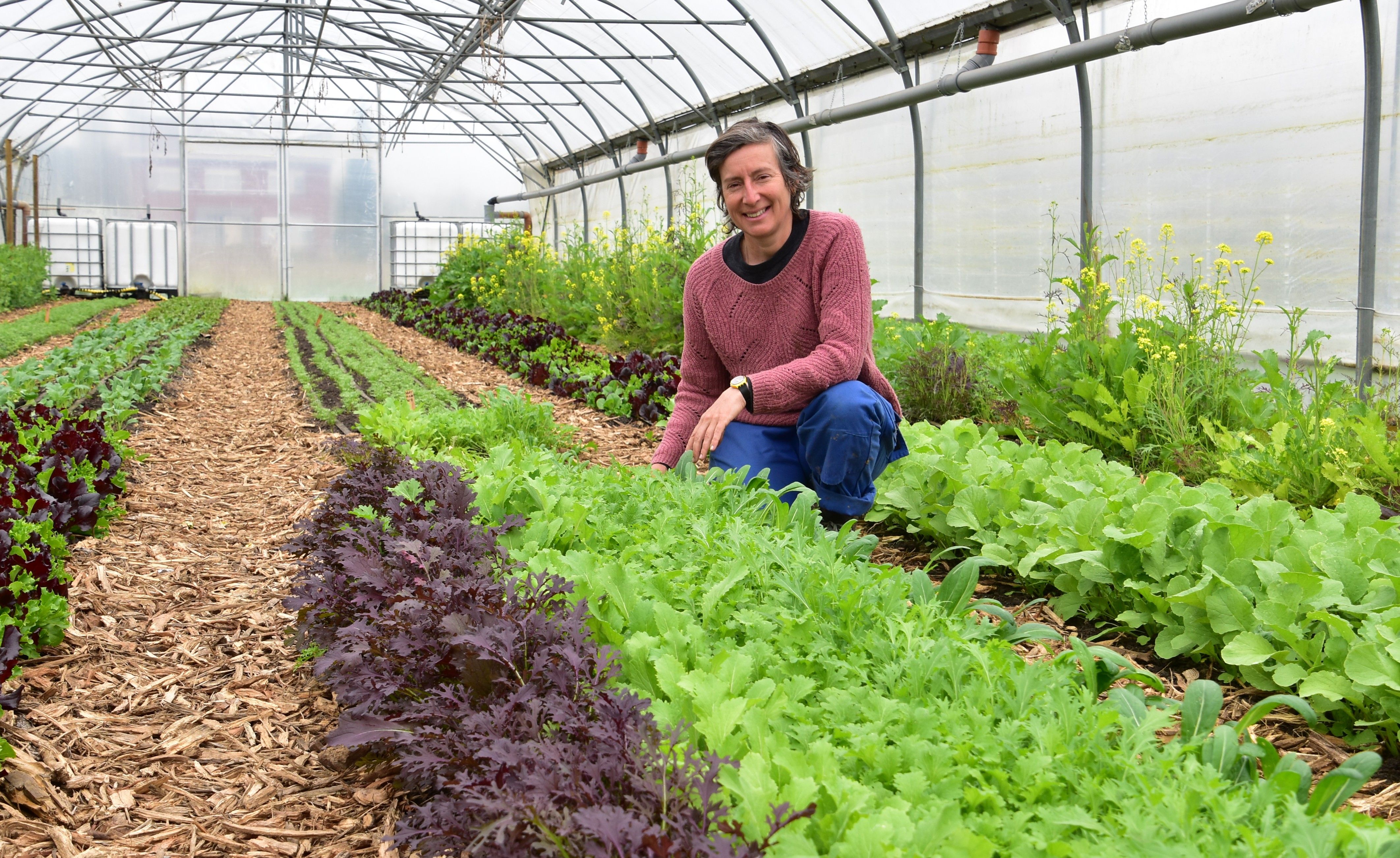 Hoofdafbeelding van het artikel