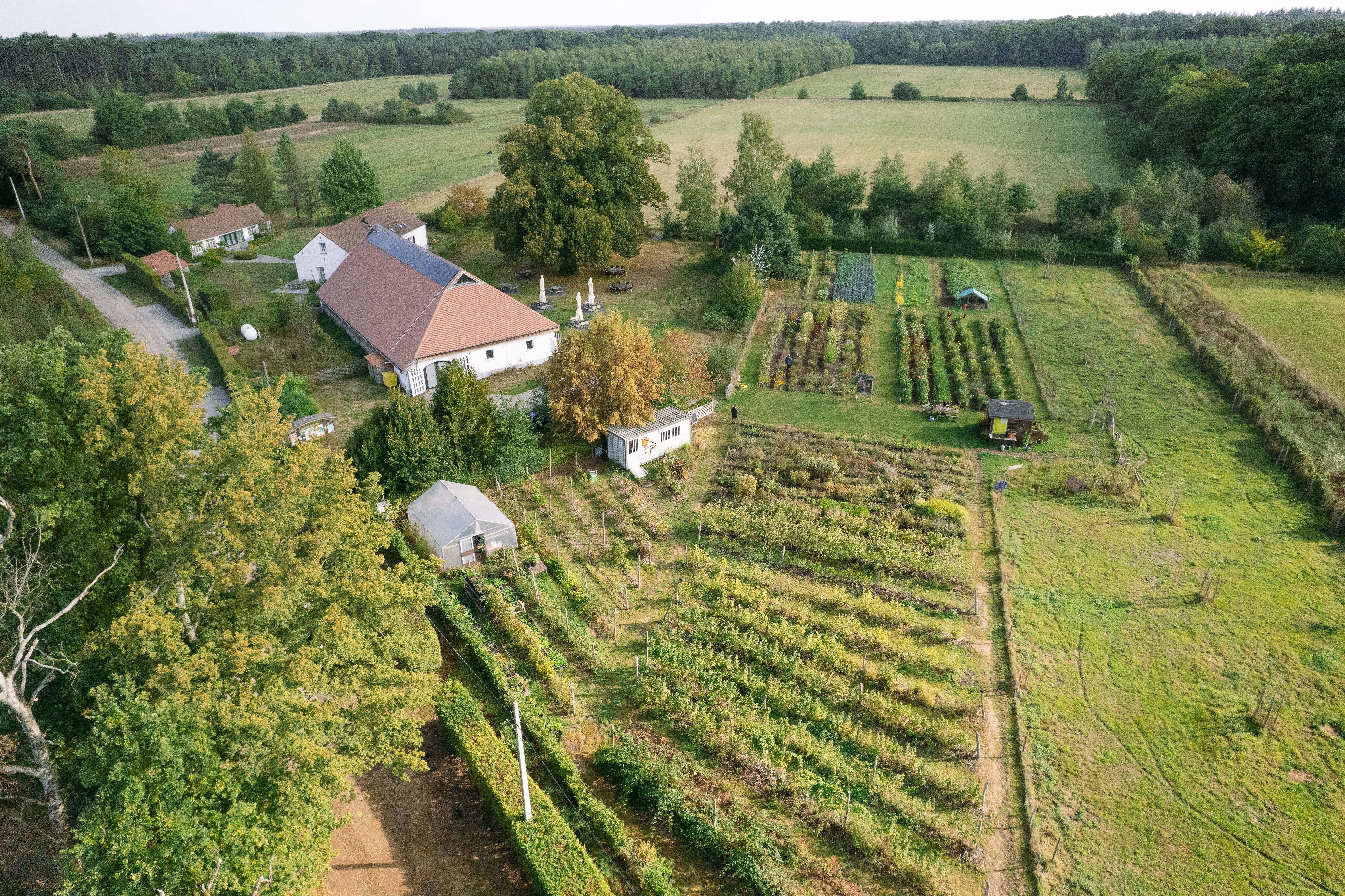 Hoofdafbeelding van de activiteit