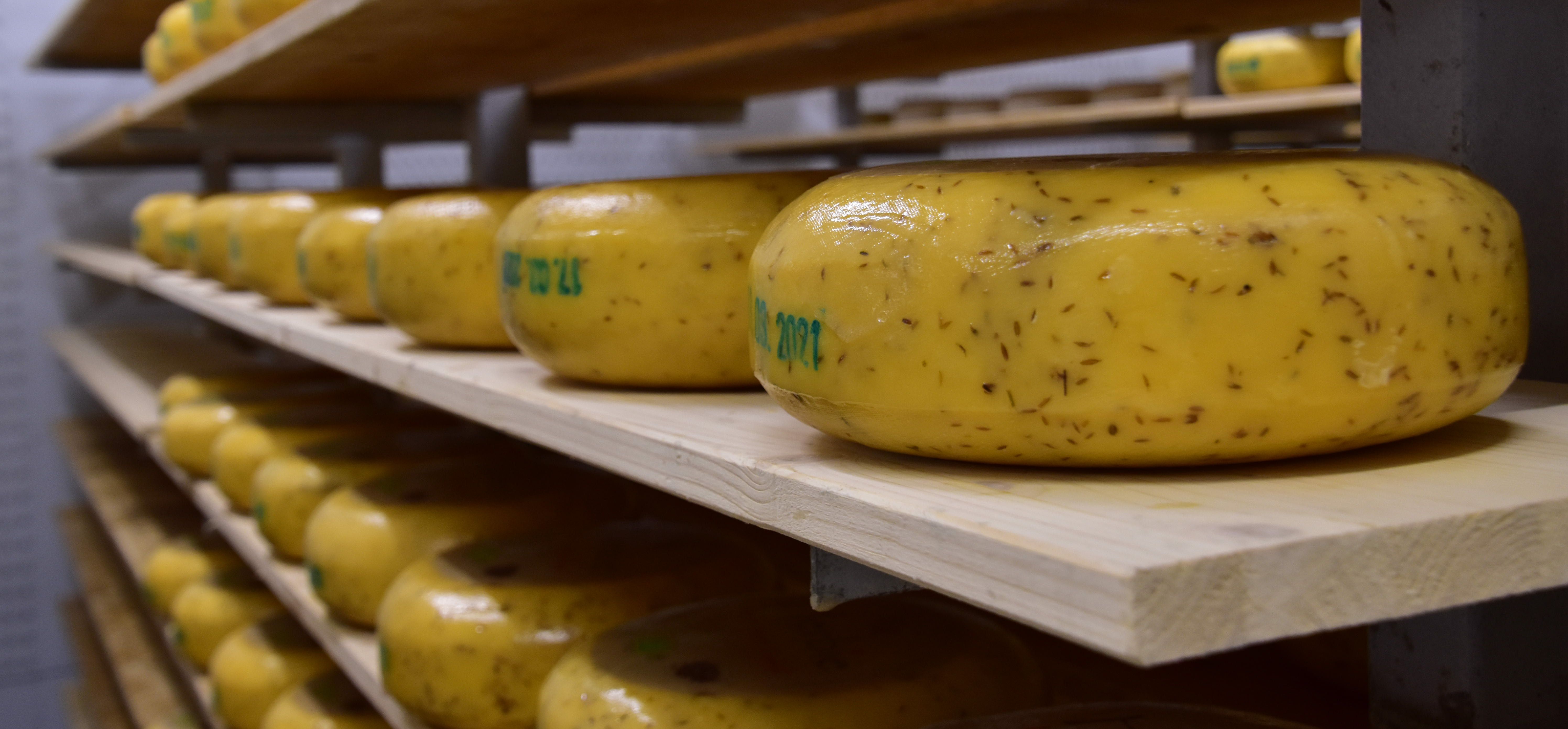 Hoofdafbeelding van het artikel