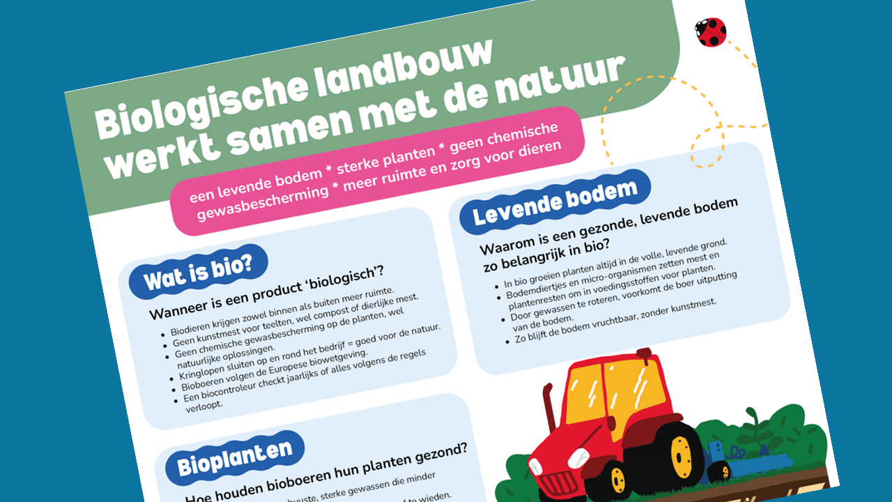 Hoofdafbeelding van het artikel