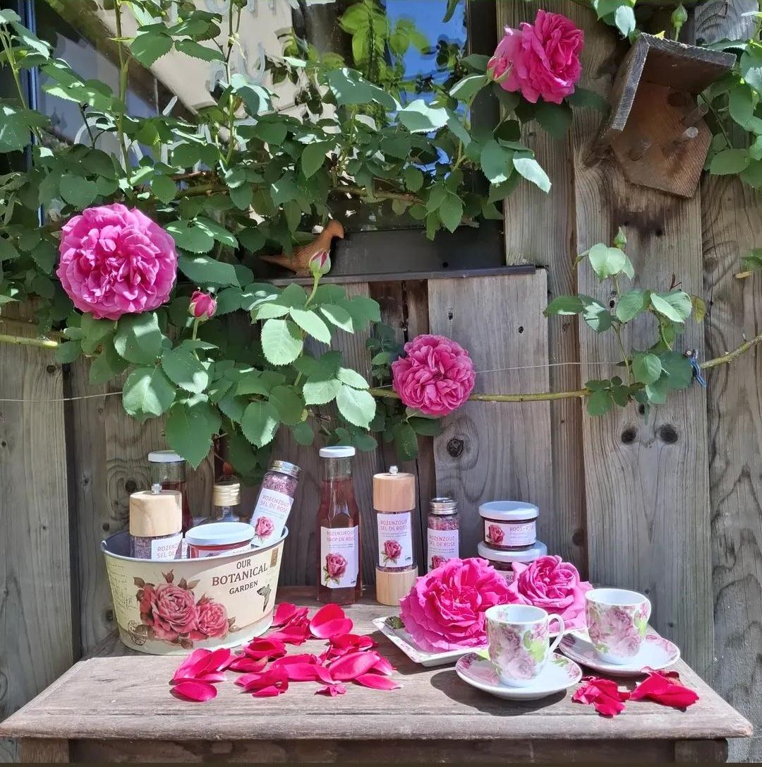 Hoofdafbeelding van de activiteit