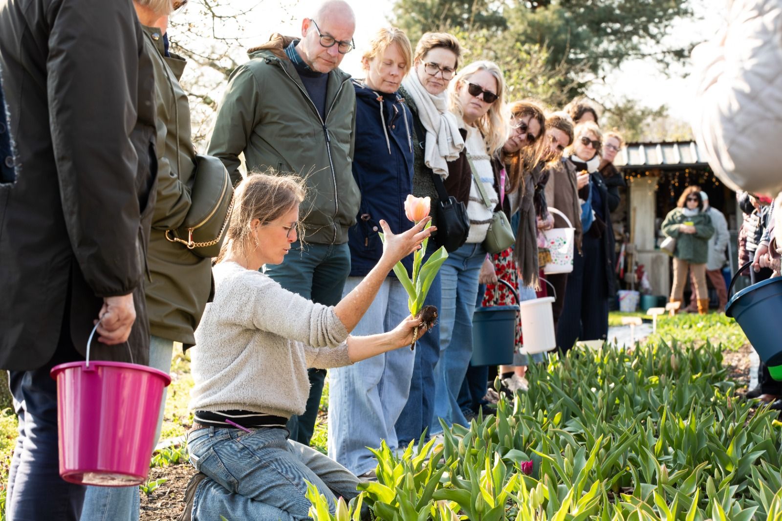 Hoofdafbeelding van de activiteit