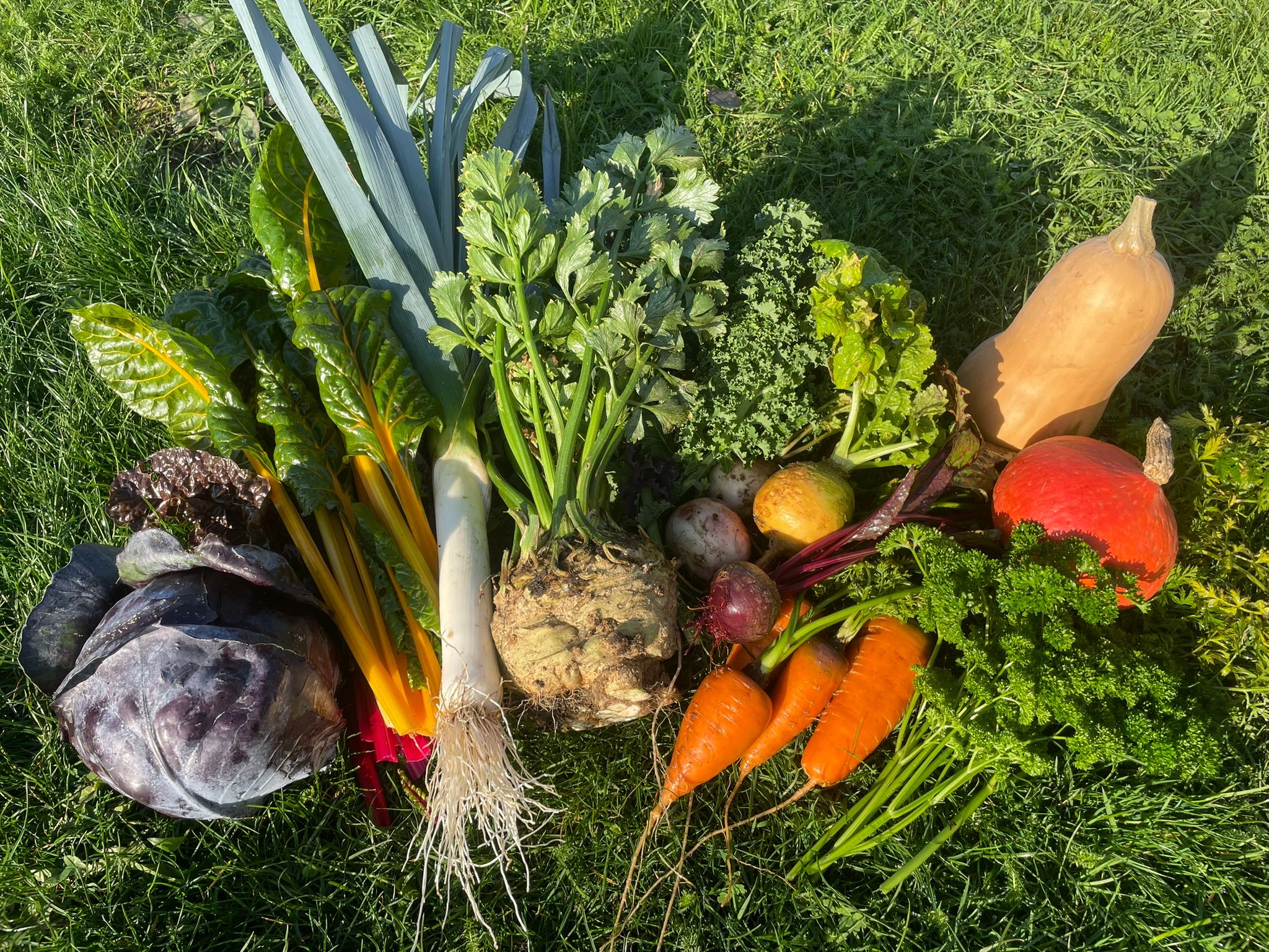 Hoofdafbeelding van de activiteit