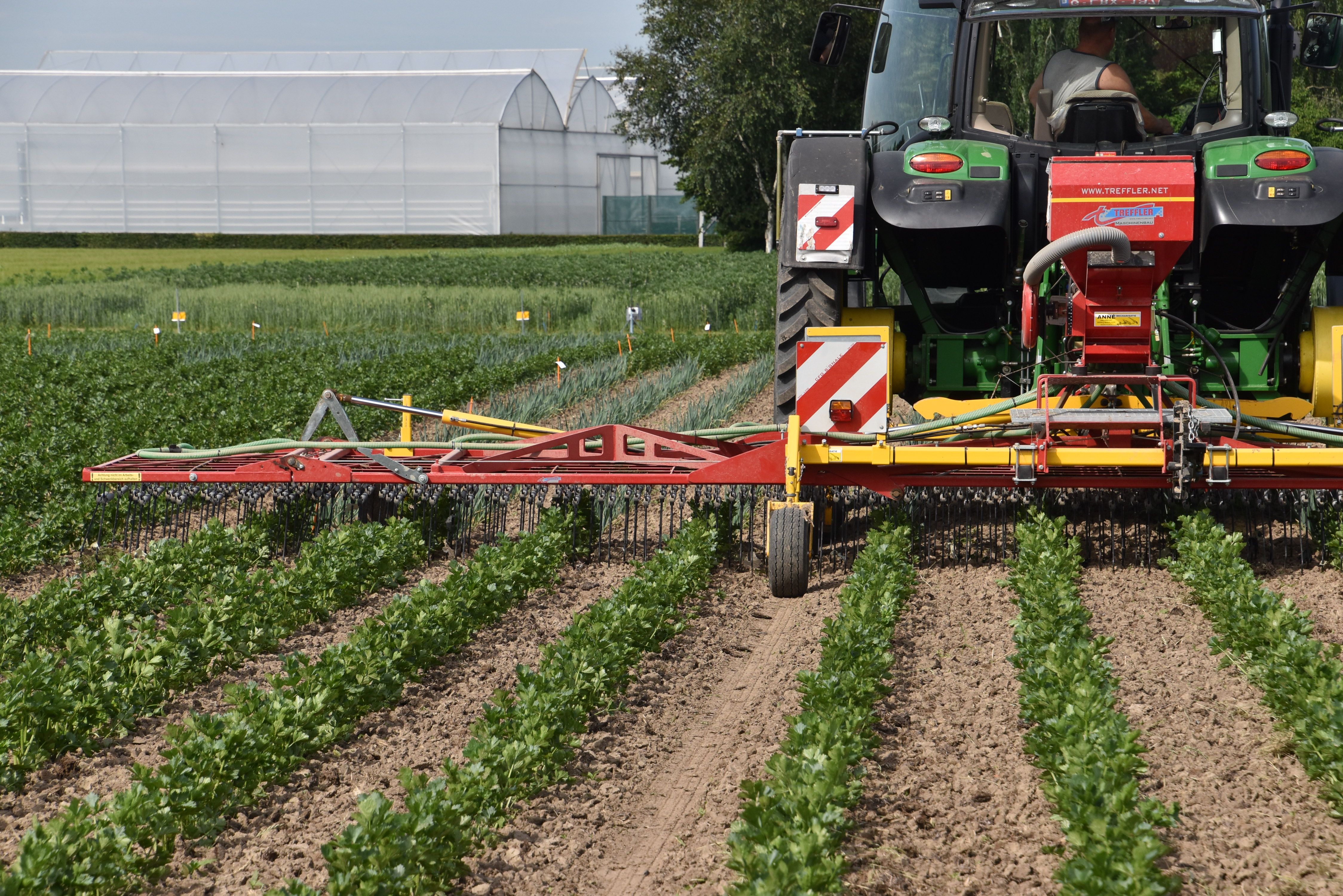 Hoofdafbeelding van de pagina