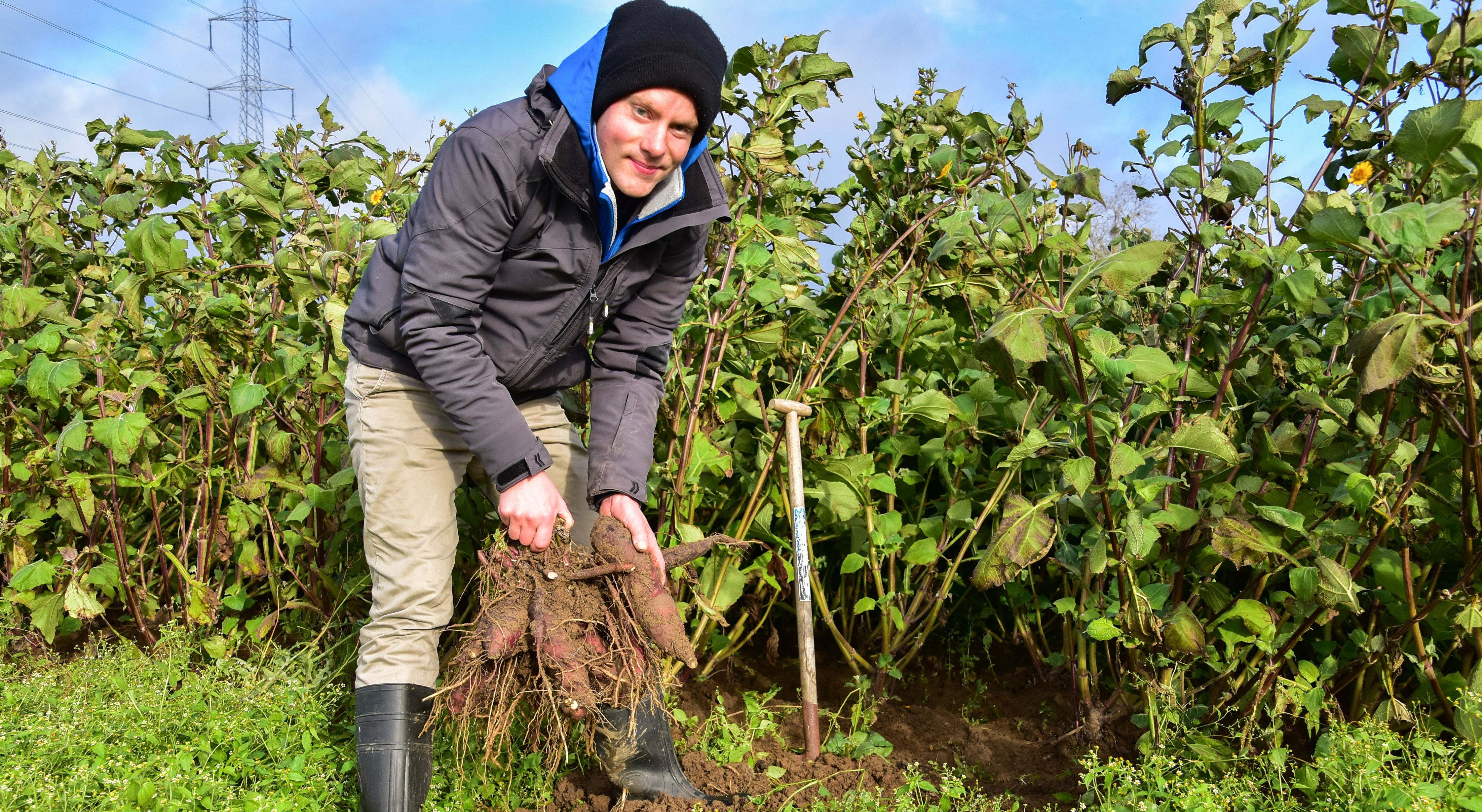Hoofdafbeelding van het gerelateerde artikel