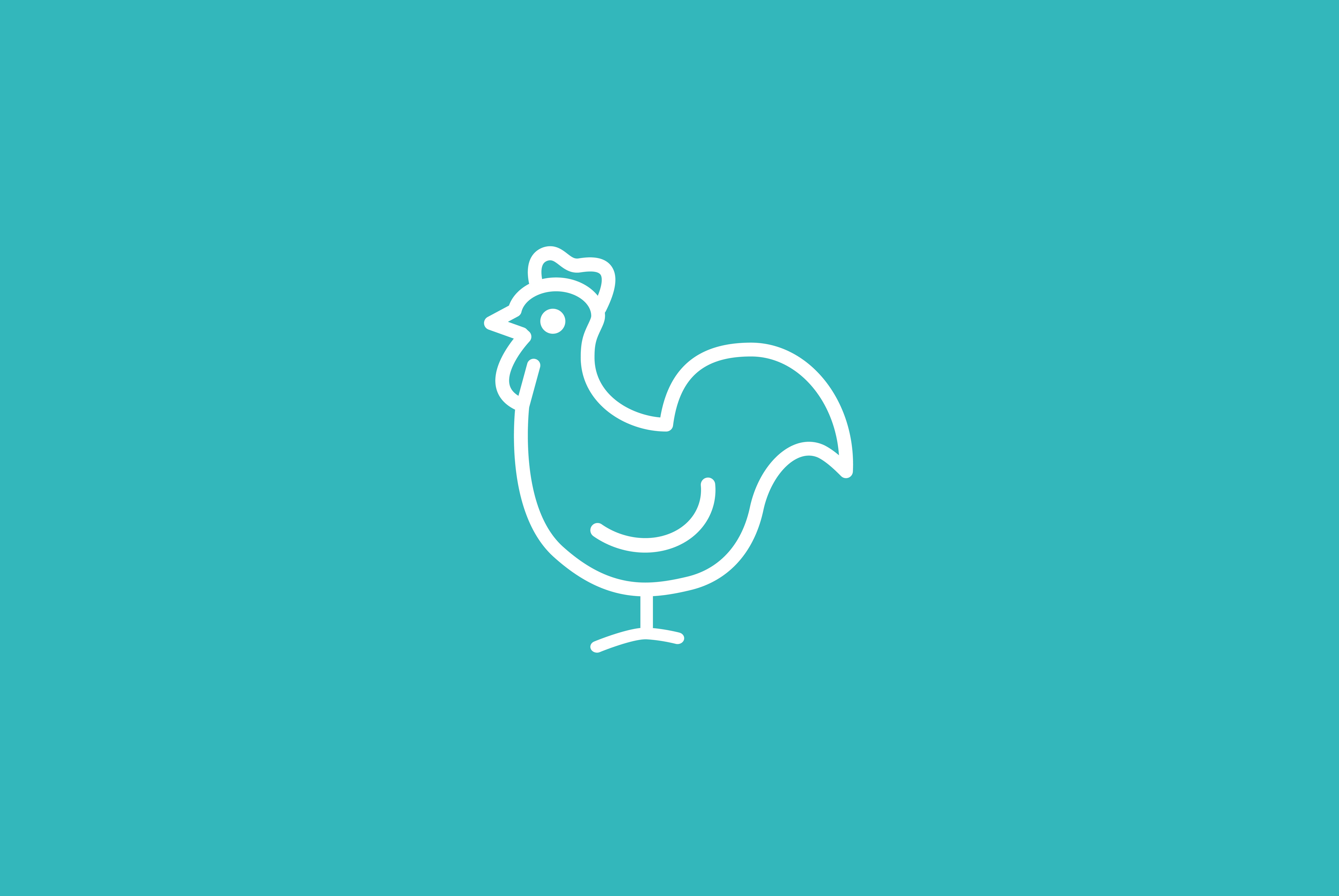 Hoofdafbeelding van het artikel