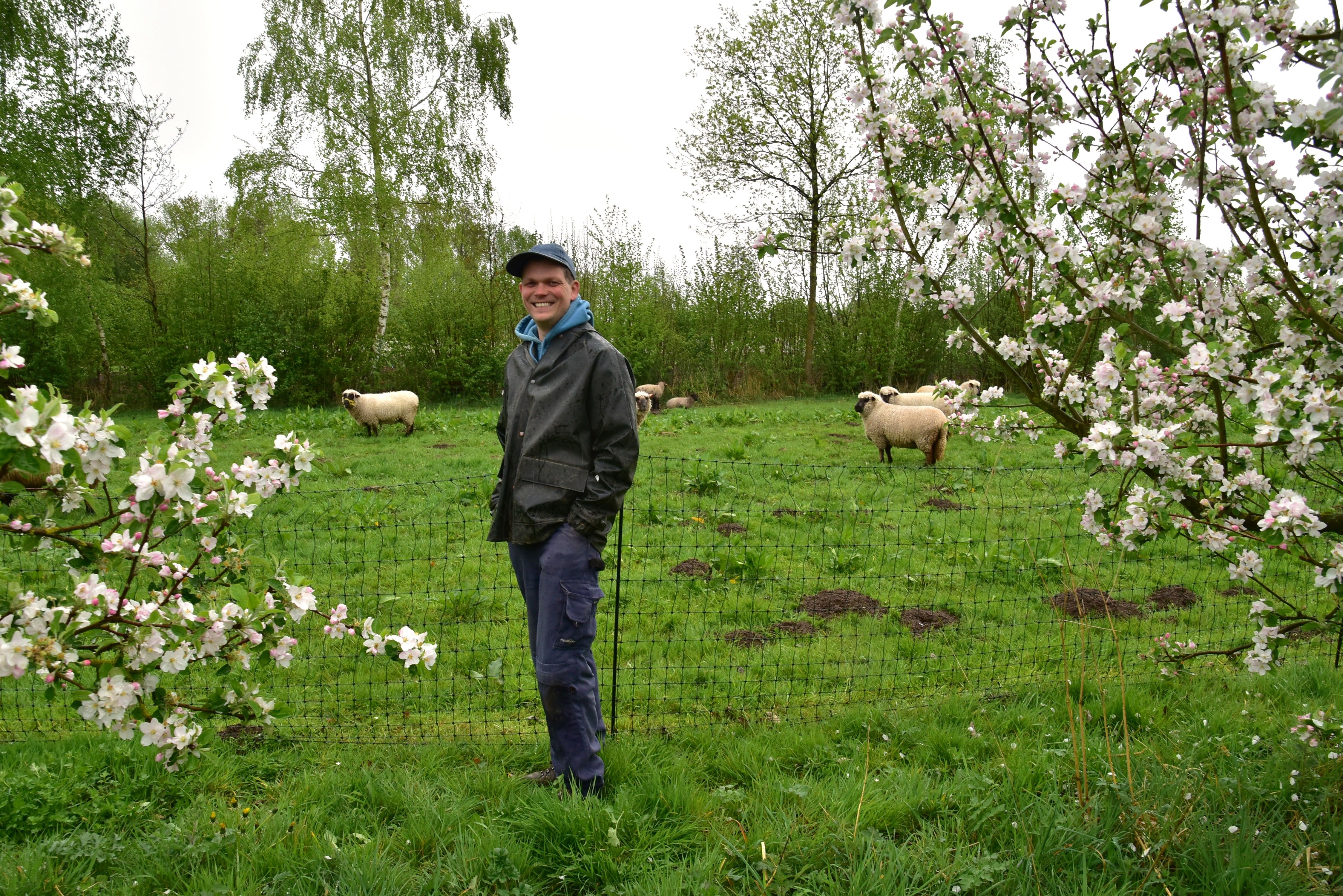Hoofdafbeelding van het gerelateerde artikel