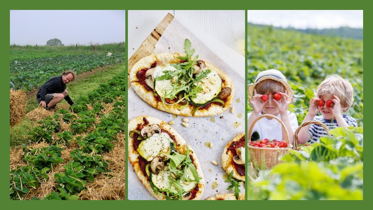 Hoofdafbeelding van het artikel