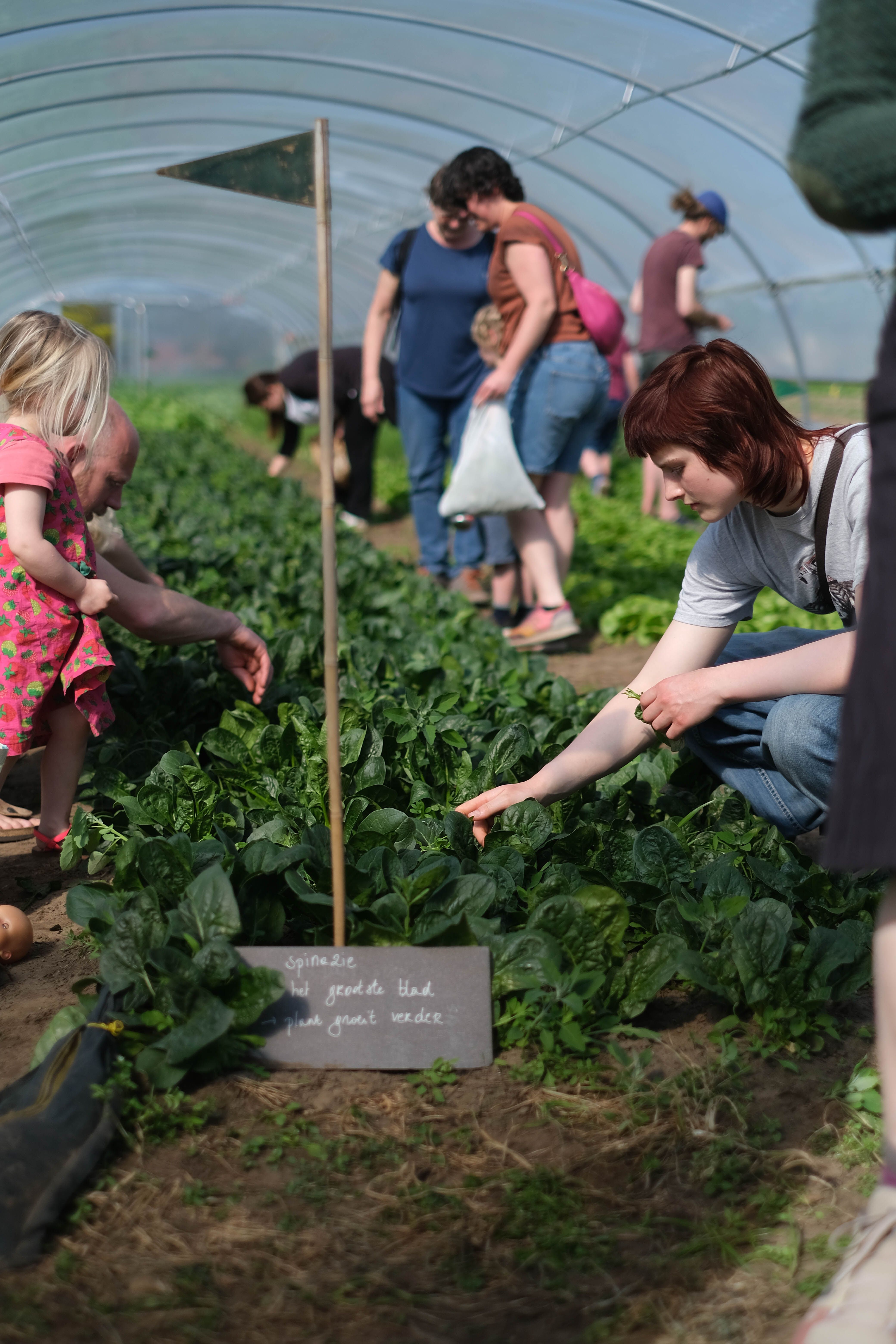 Hoofdafbeelding van de activiteit