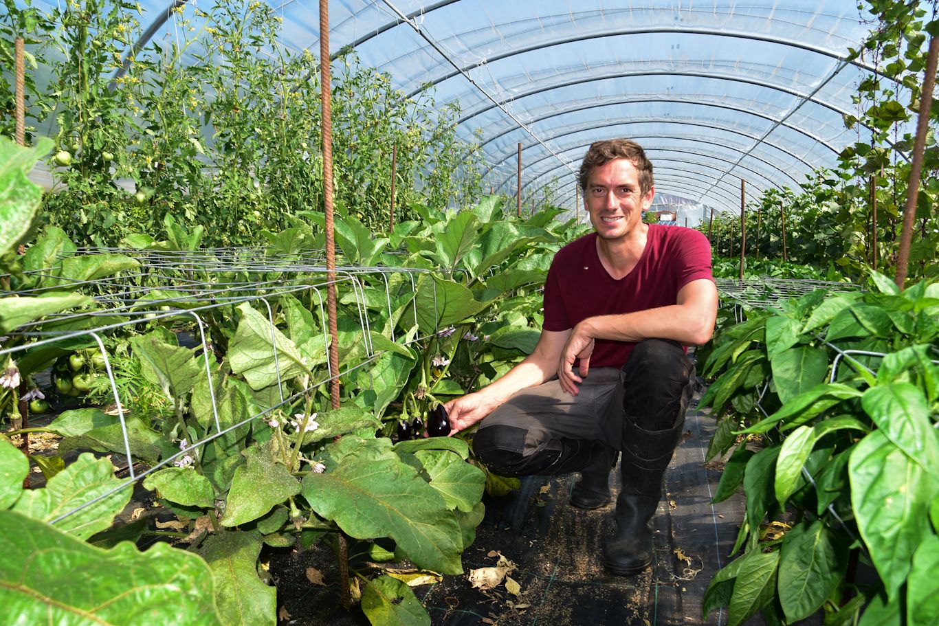 Afbeelding van het artikel