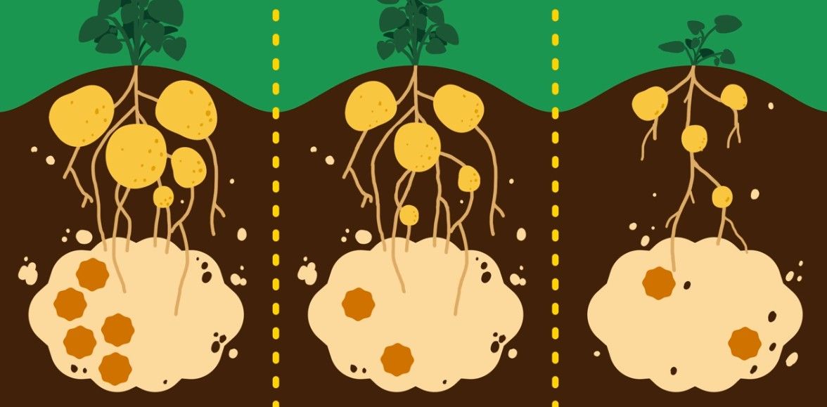 Hoofdafbeelding van het gerelateerde artikel