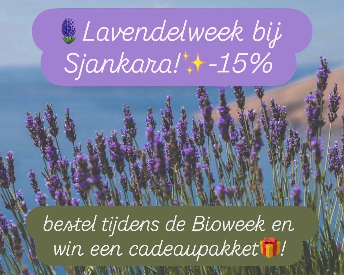 Hoofdafbeelding van de activiteit