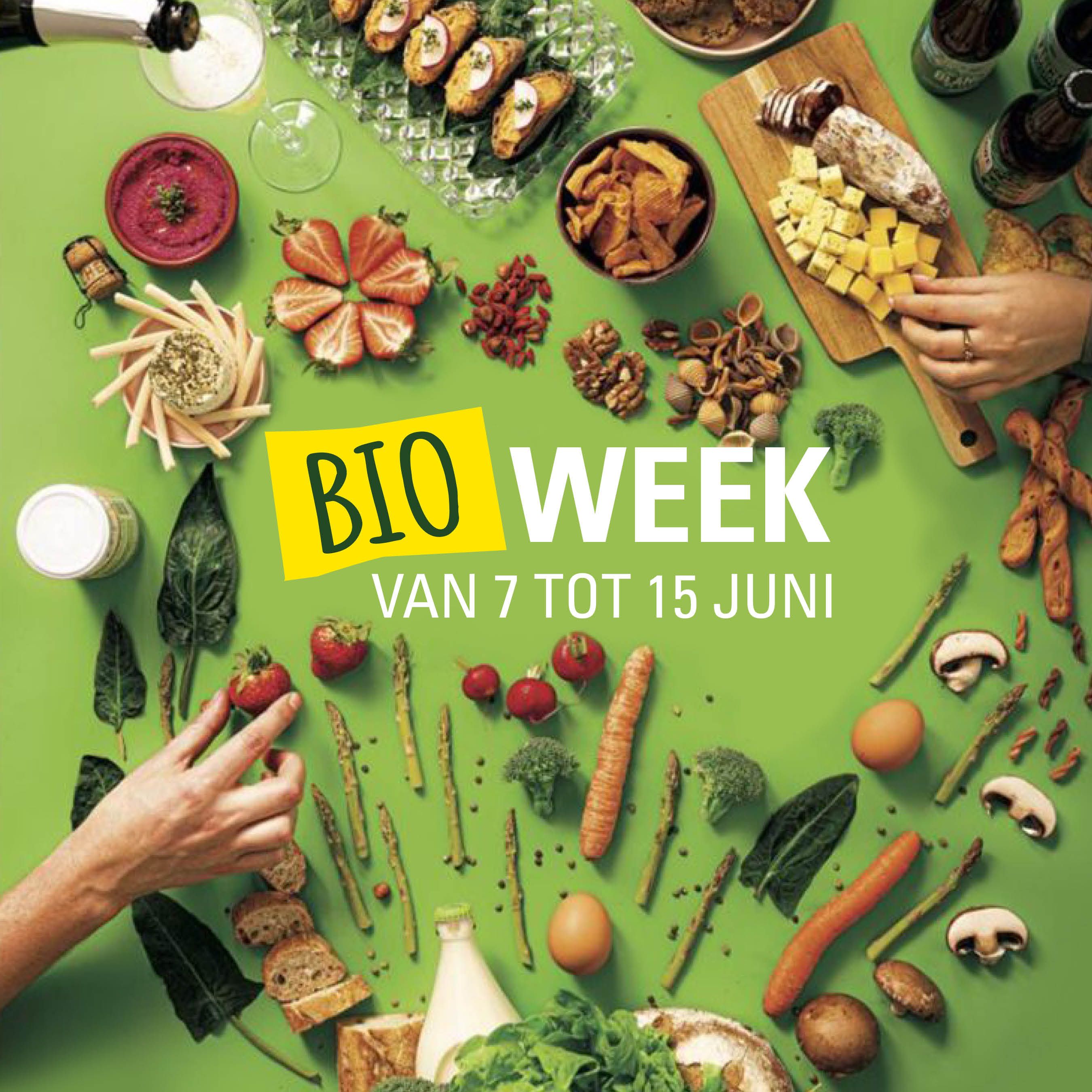 Hoofdafbeelding van de activiteit