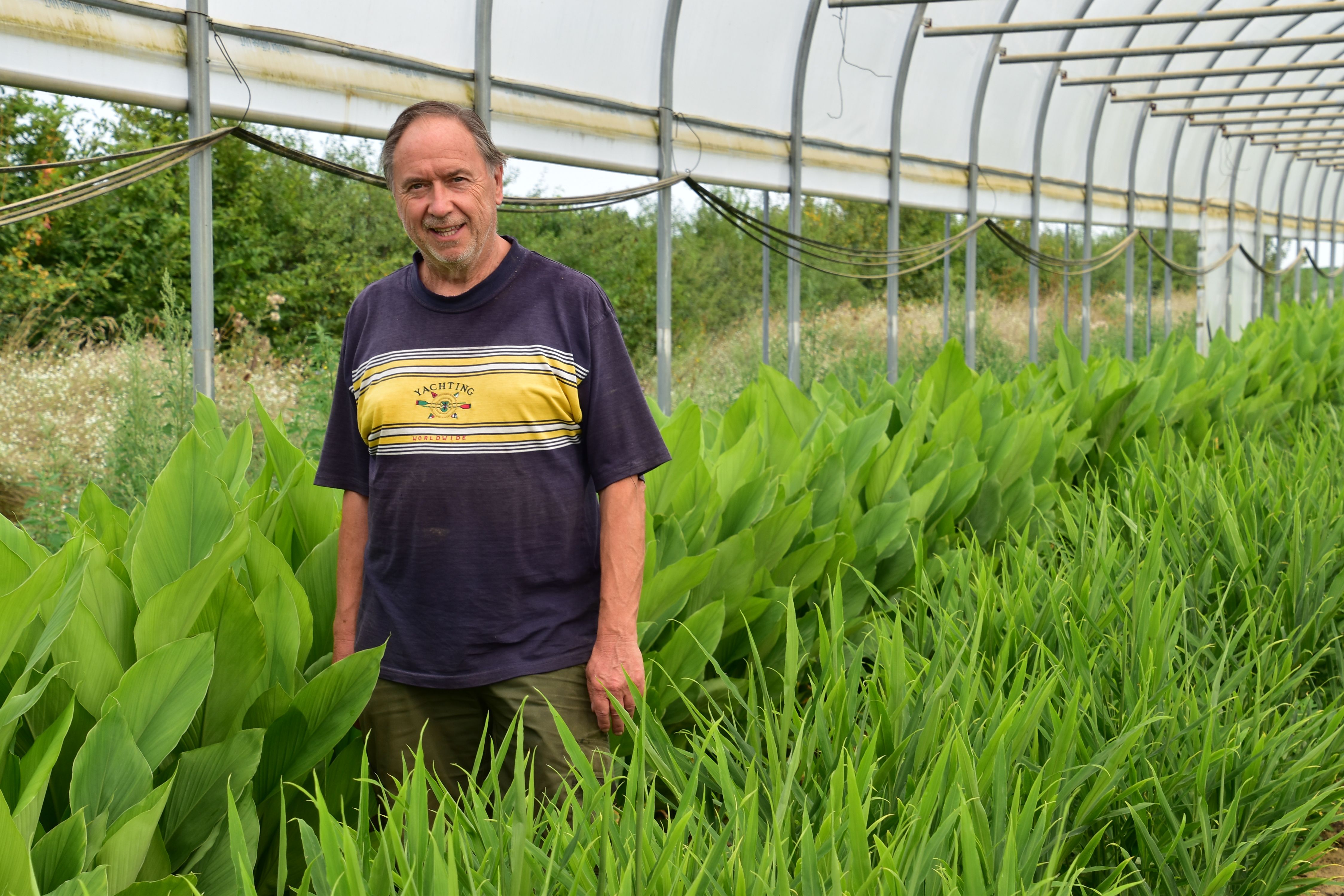 Afbeelding van het artikel