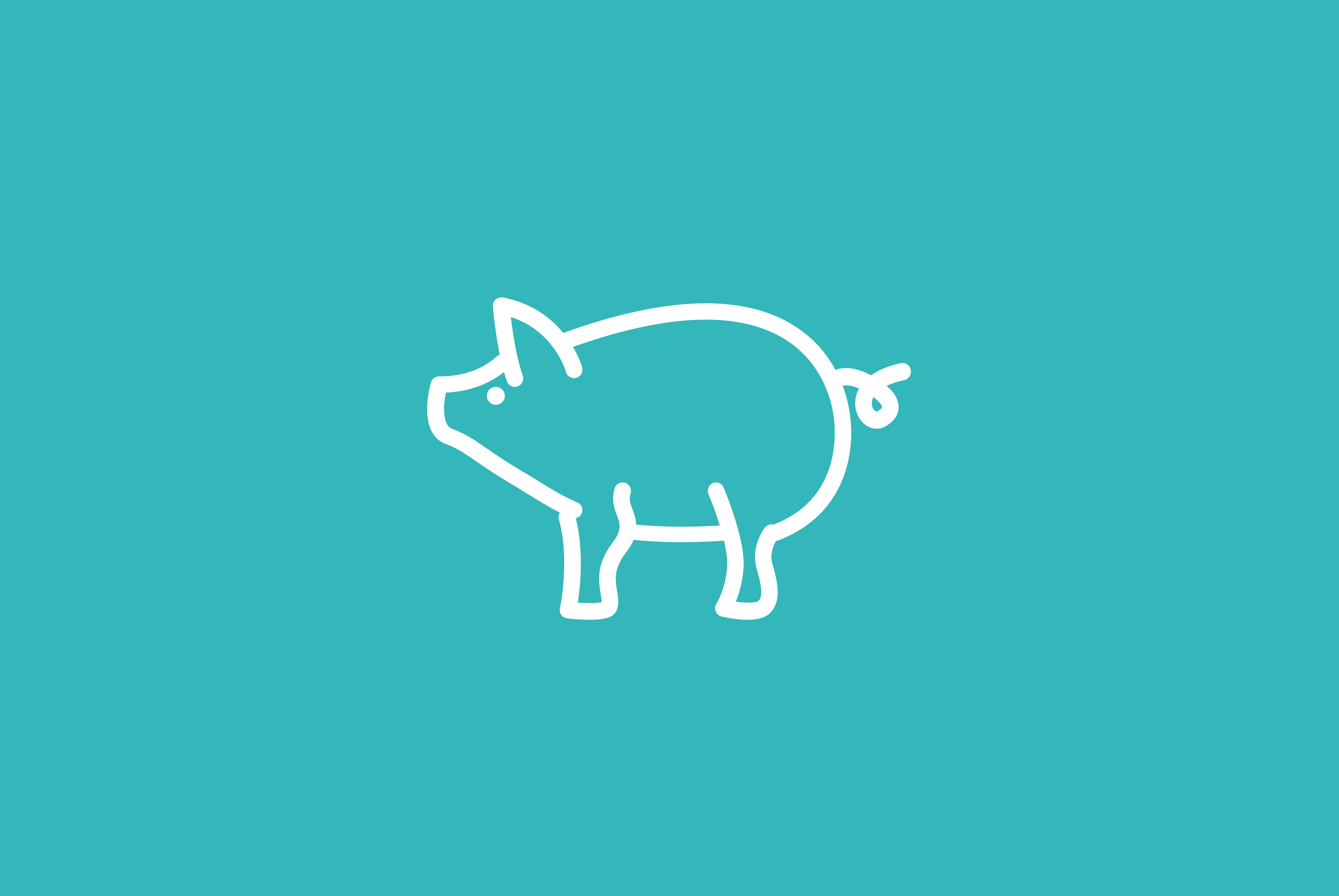 Hoofdafbeelding van het artikel