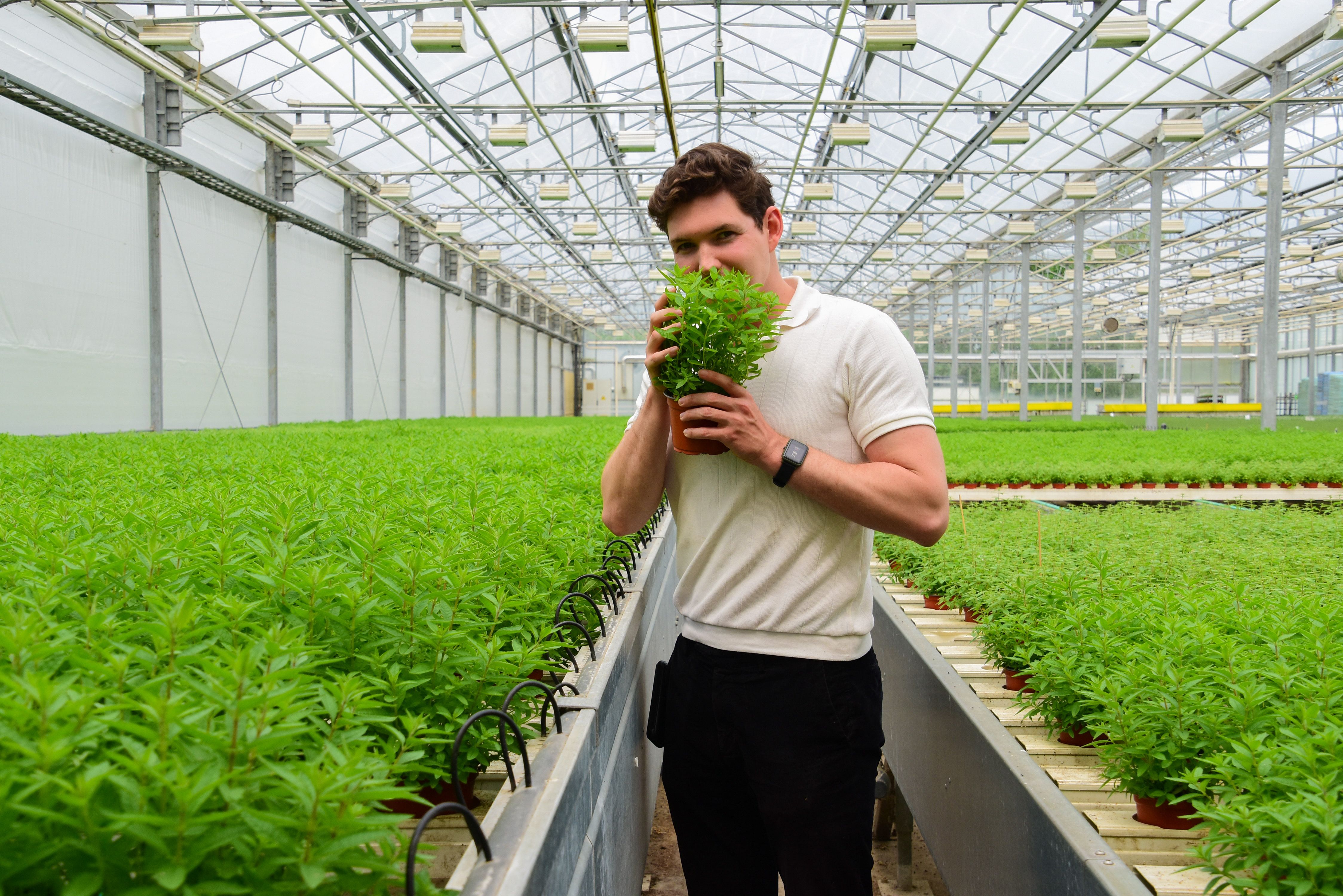 Hoofdafbeelding van het artikel