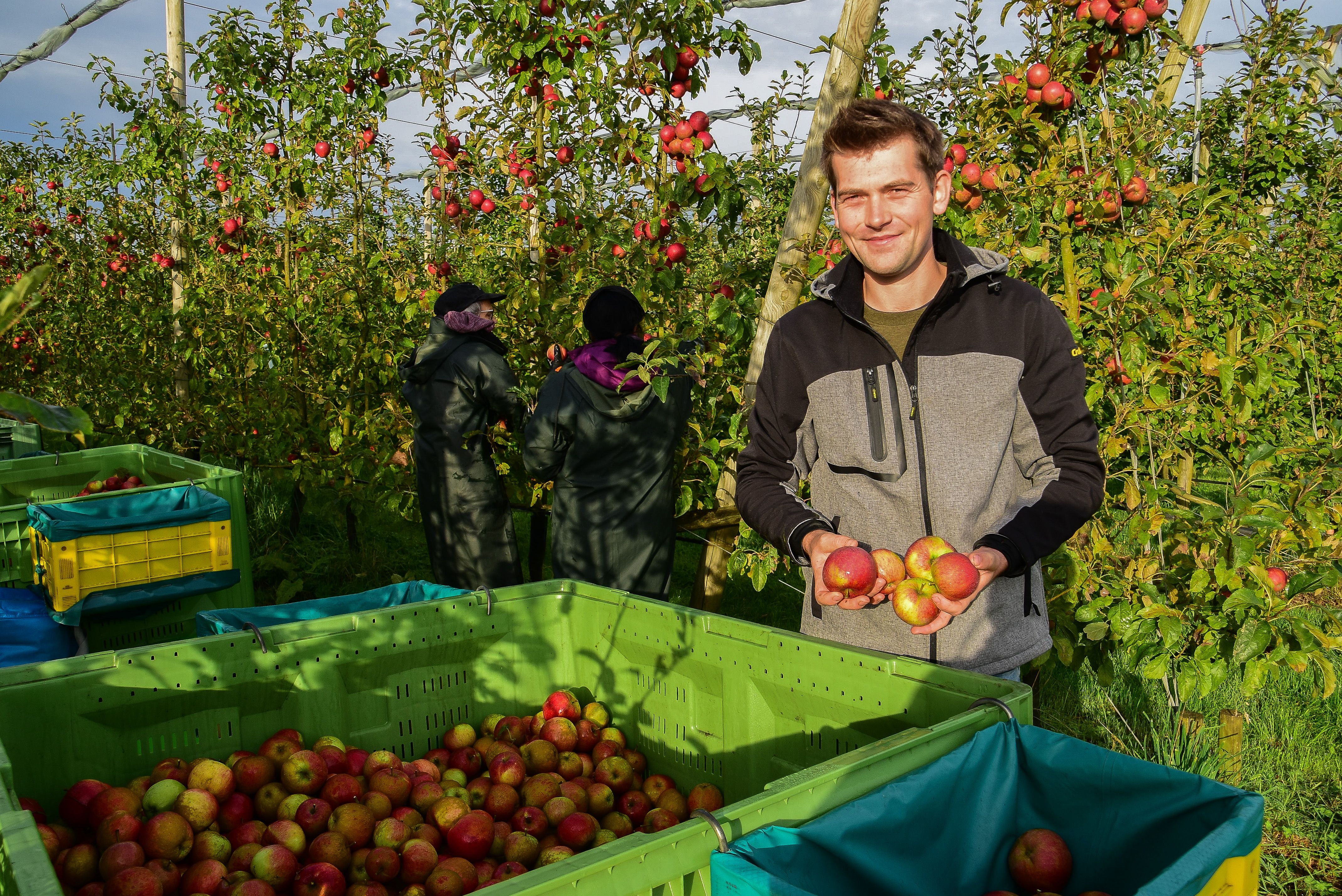 Hoofdafbeelding van het gerelateerde artikel