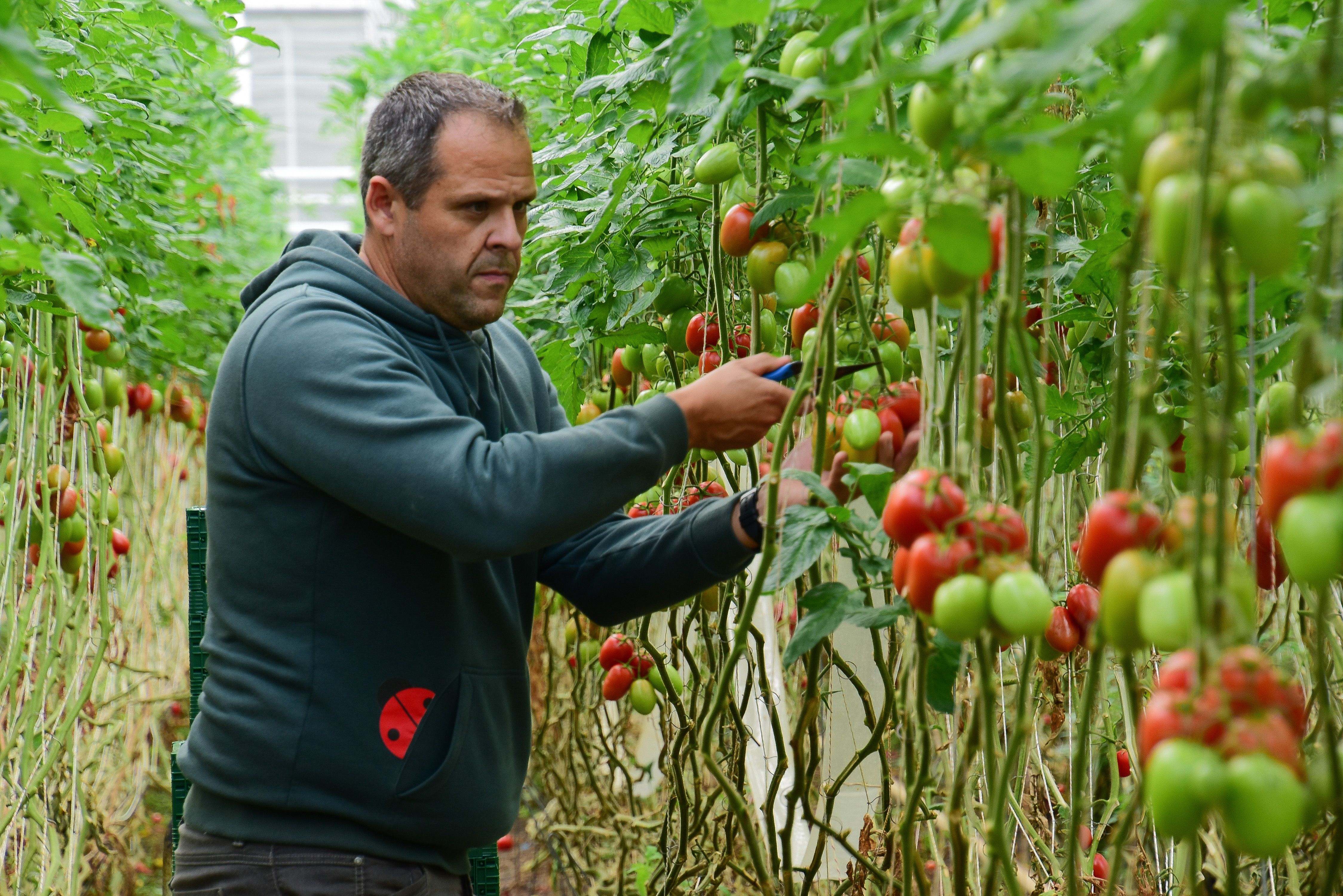 Afbeelding van het artikel