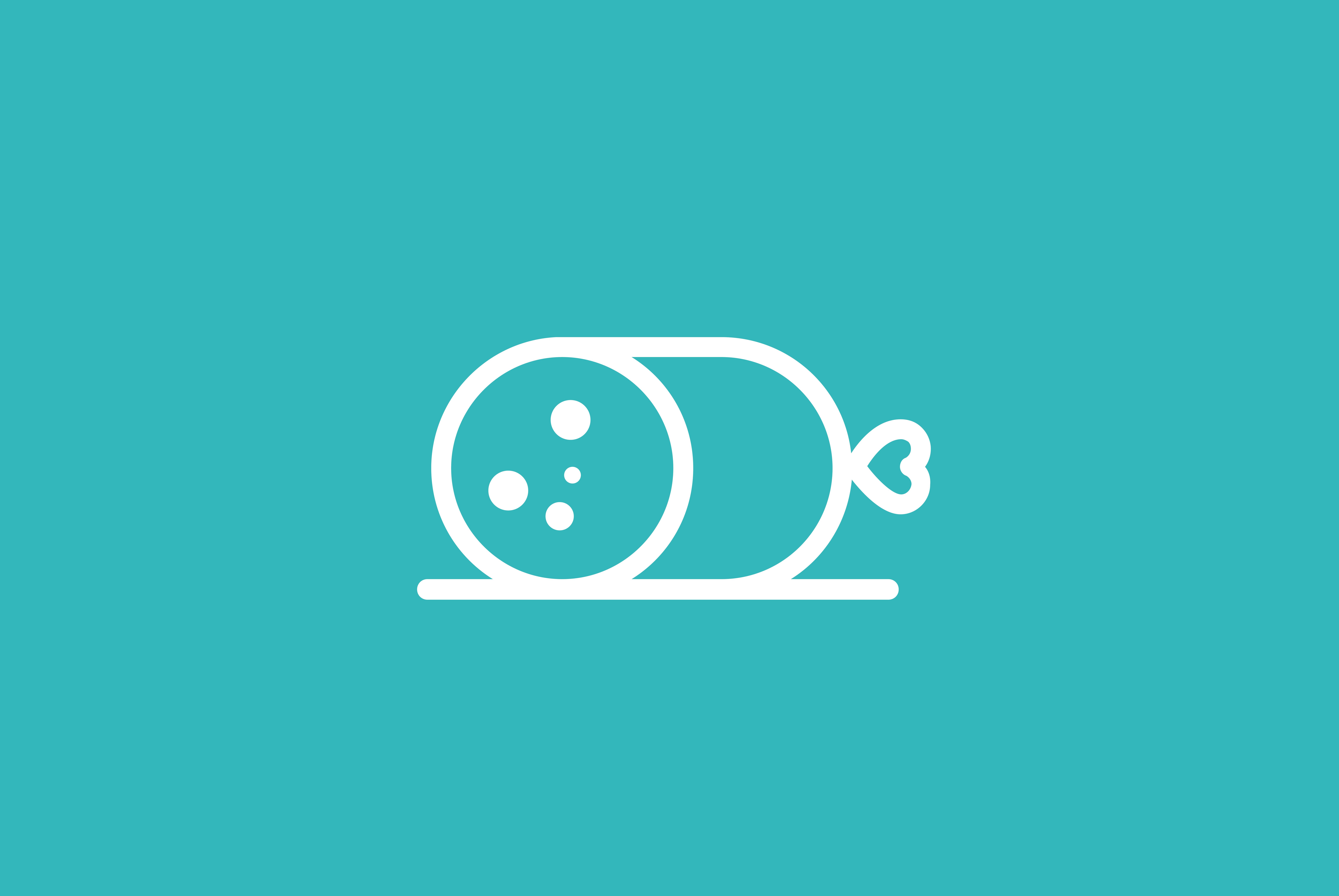 Hoofdafbeelding van het artikel