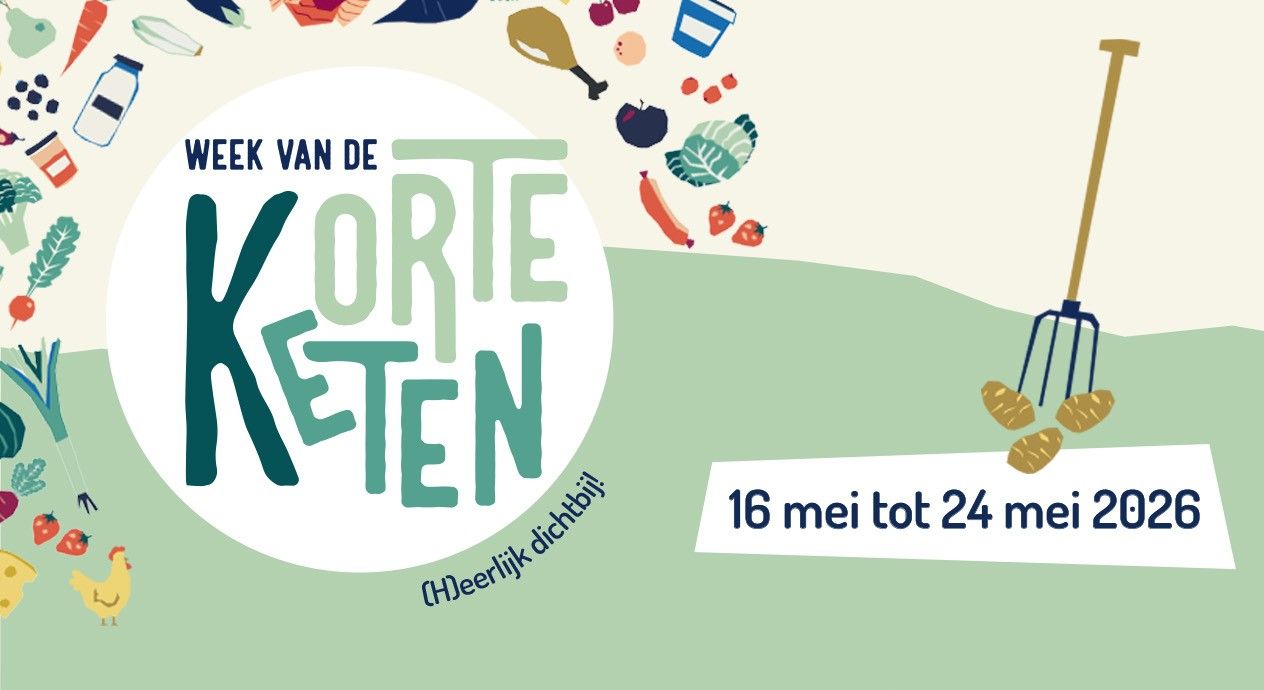 Afbeelding van het artikel