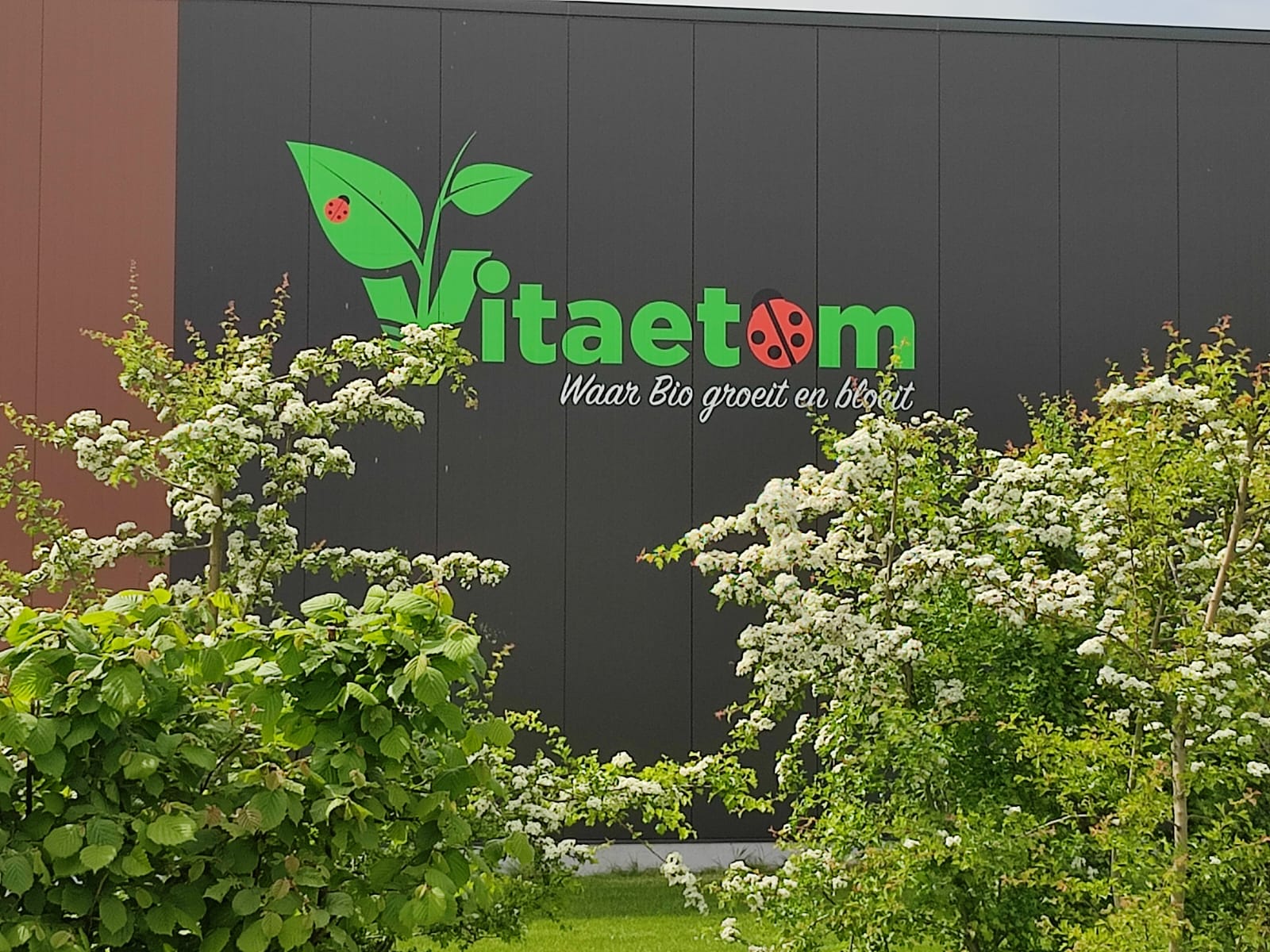 Hoofdafbeelding van de activiteit