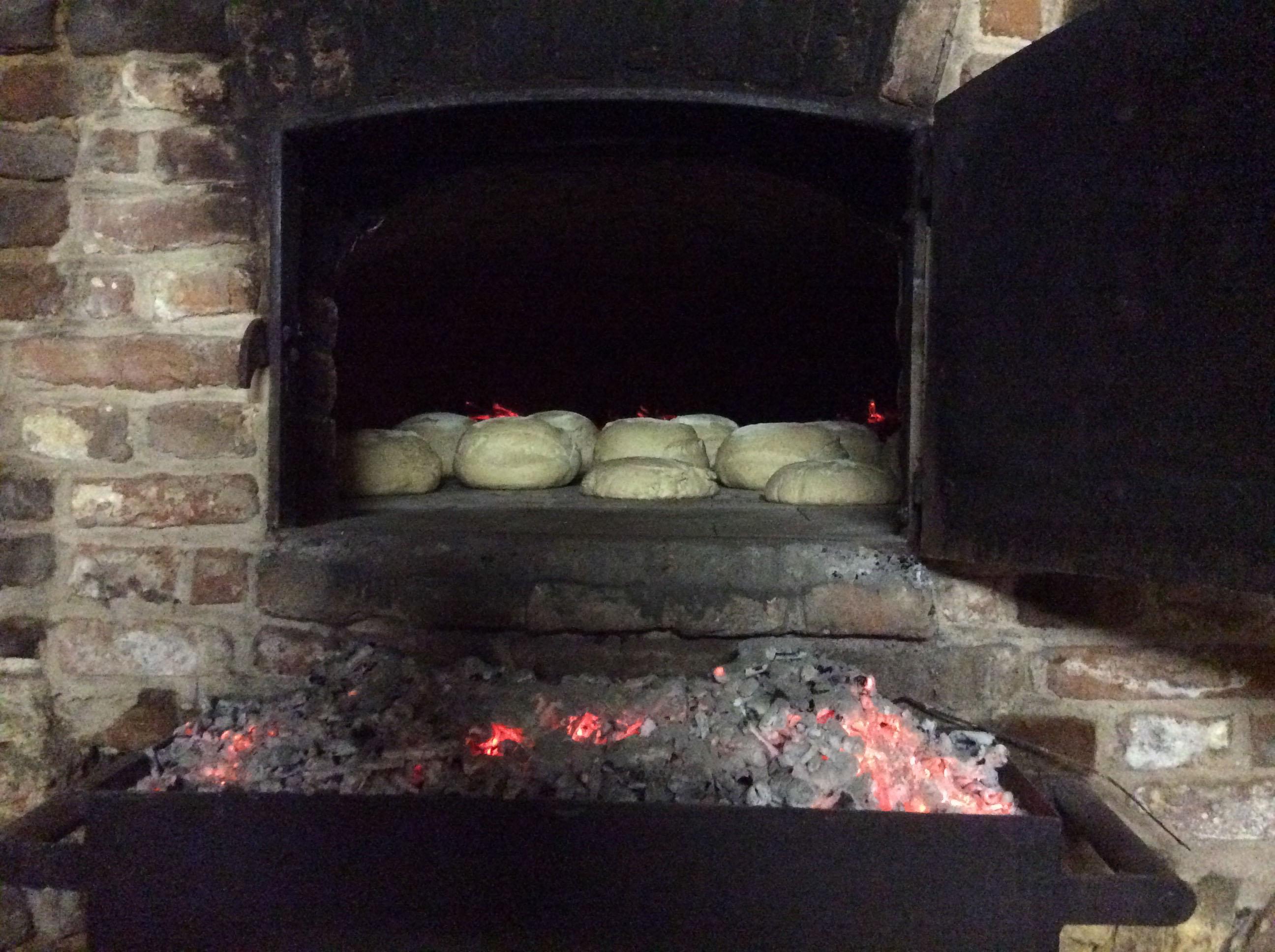 Hoofdafbeelding van de activiteit