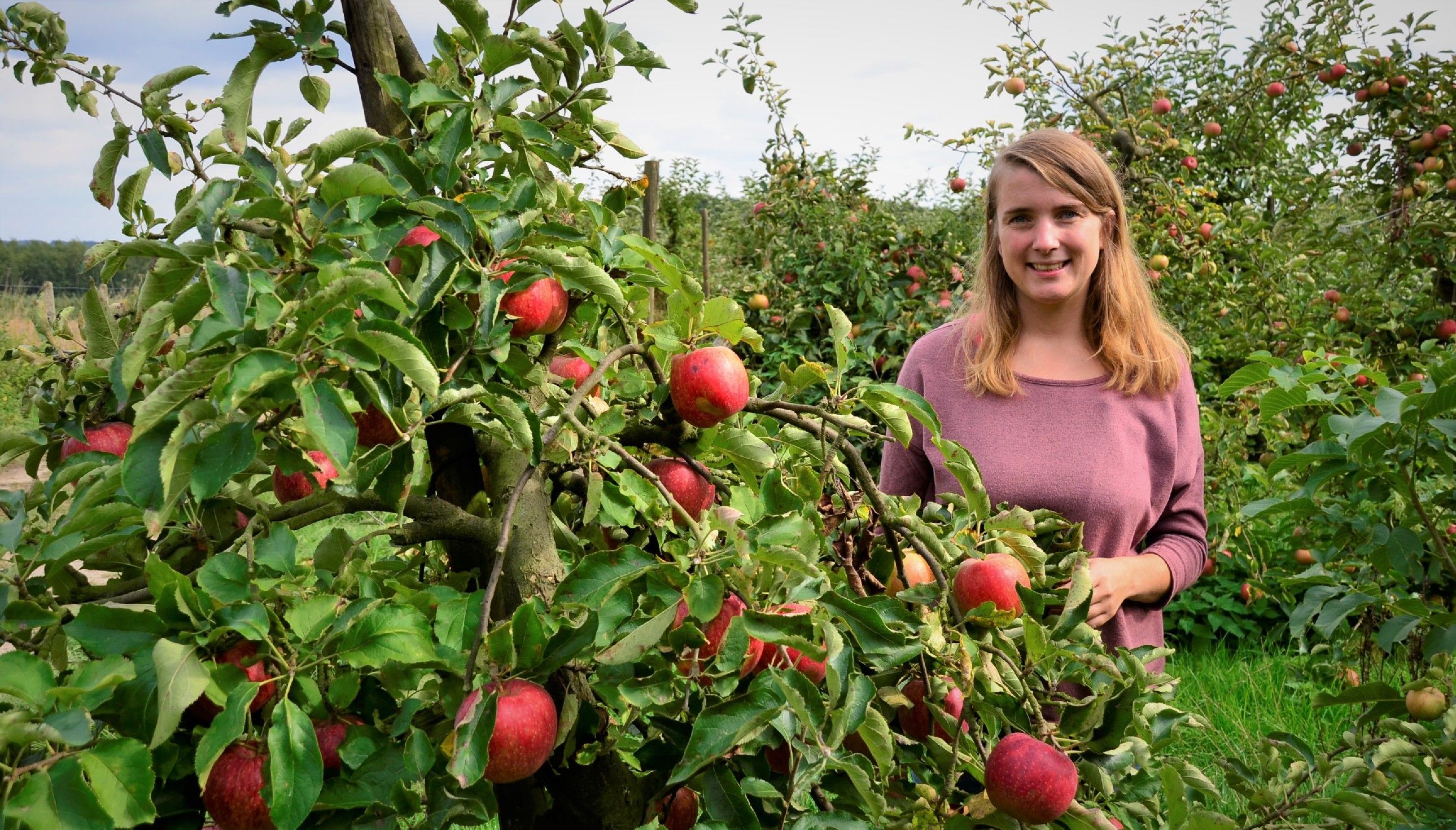 Céline Frisque, derde generatie van De Appelfabriek - (c) VLAM