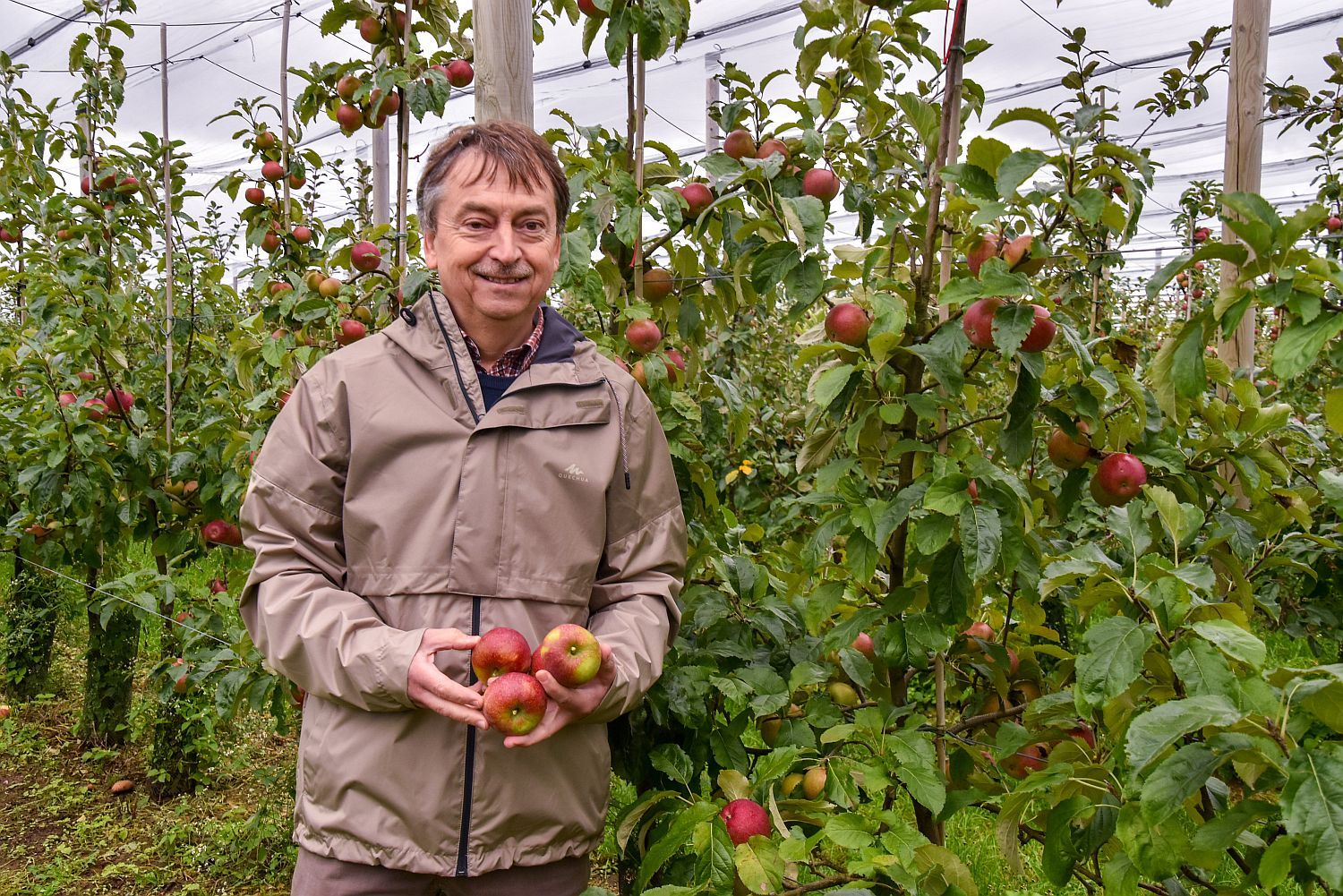 Jef Vercammen tussen 'zijn' appels - (c) VLAM, P. De Laet