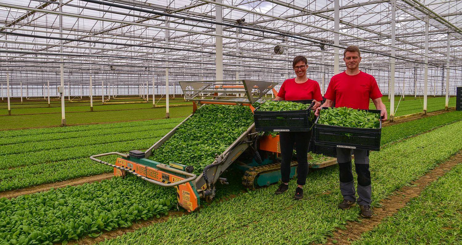Natascha Van Ostaeyen en Johnny Versonnen met verse spinazie - (c) VLAM, Patricia De Laet