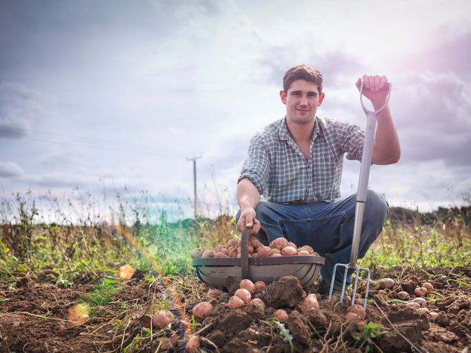 Biolandbouw is goed voor het milieu