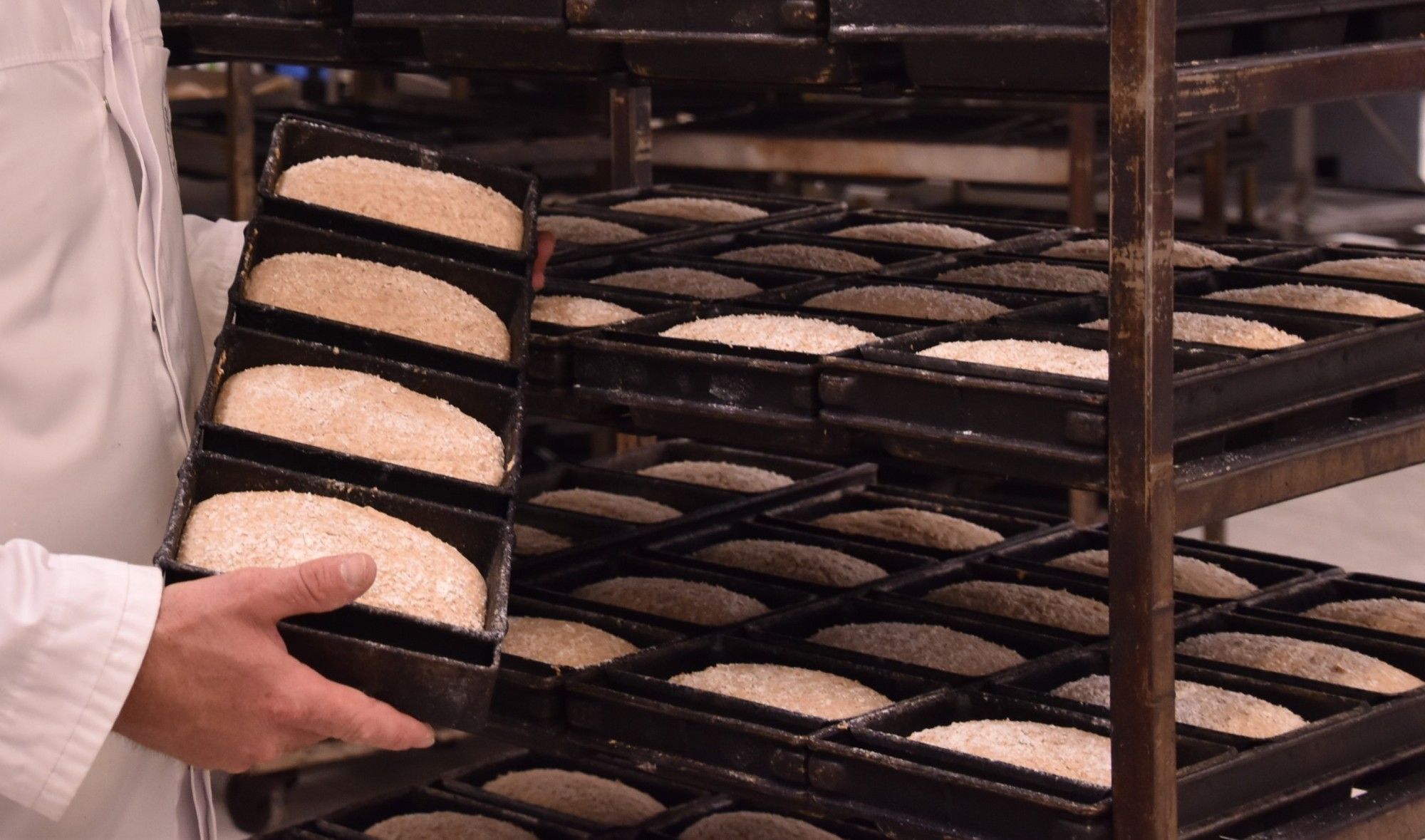 Biologisch brood in wording - (c) VLAM, P. De Laet