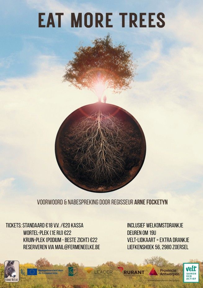 Hoofdafbeelding van de activiteit