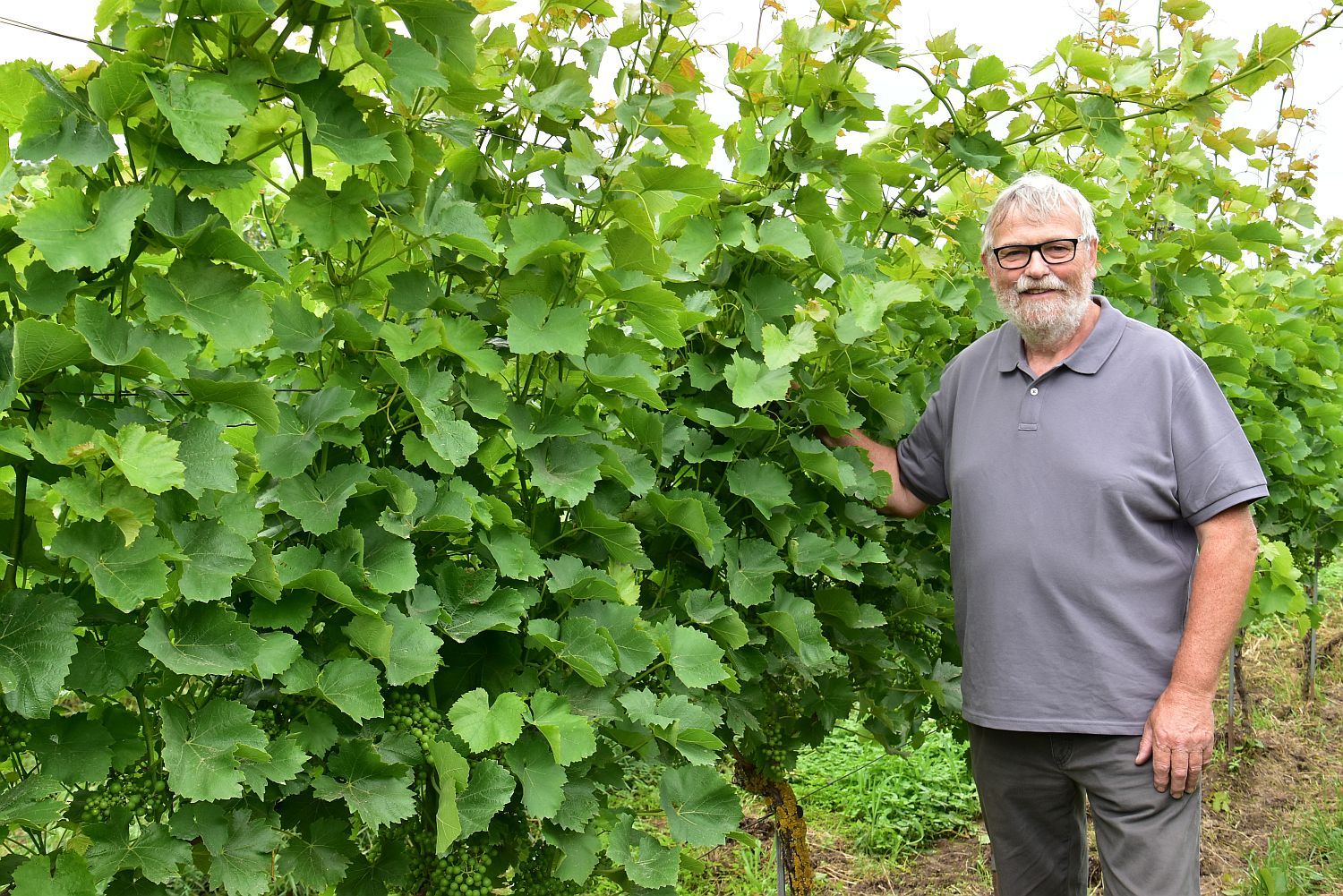 Hugo Bernar van biobedrijf Hageling - (c) VLAM, P. De Laet
