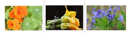 De top 3 van de chefs: Oost-Indische kers, courgettebloem en viooltje