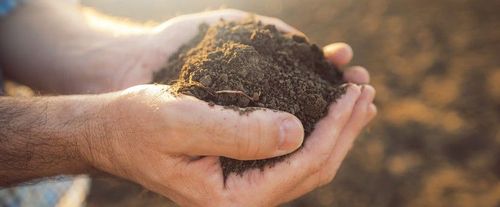 Vruchtbare aarde is de basis voor biolandbouw - (c) VLAM