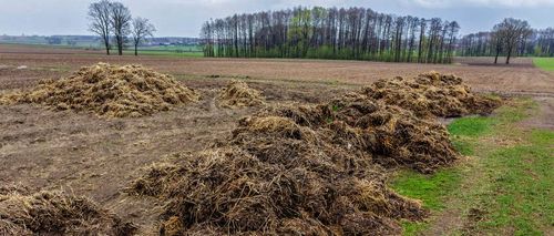 Koemest is een bron van voedingselementen voor de bodem - (c) VLAM