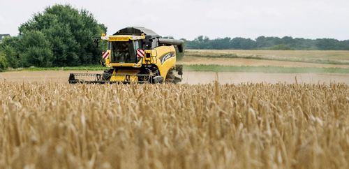 Velden vol biograan, dat had Brouwerij 3 Fonteinen nodig! - (c) 3 Fonteinen
